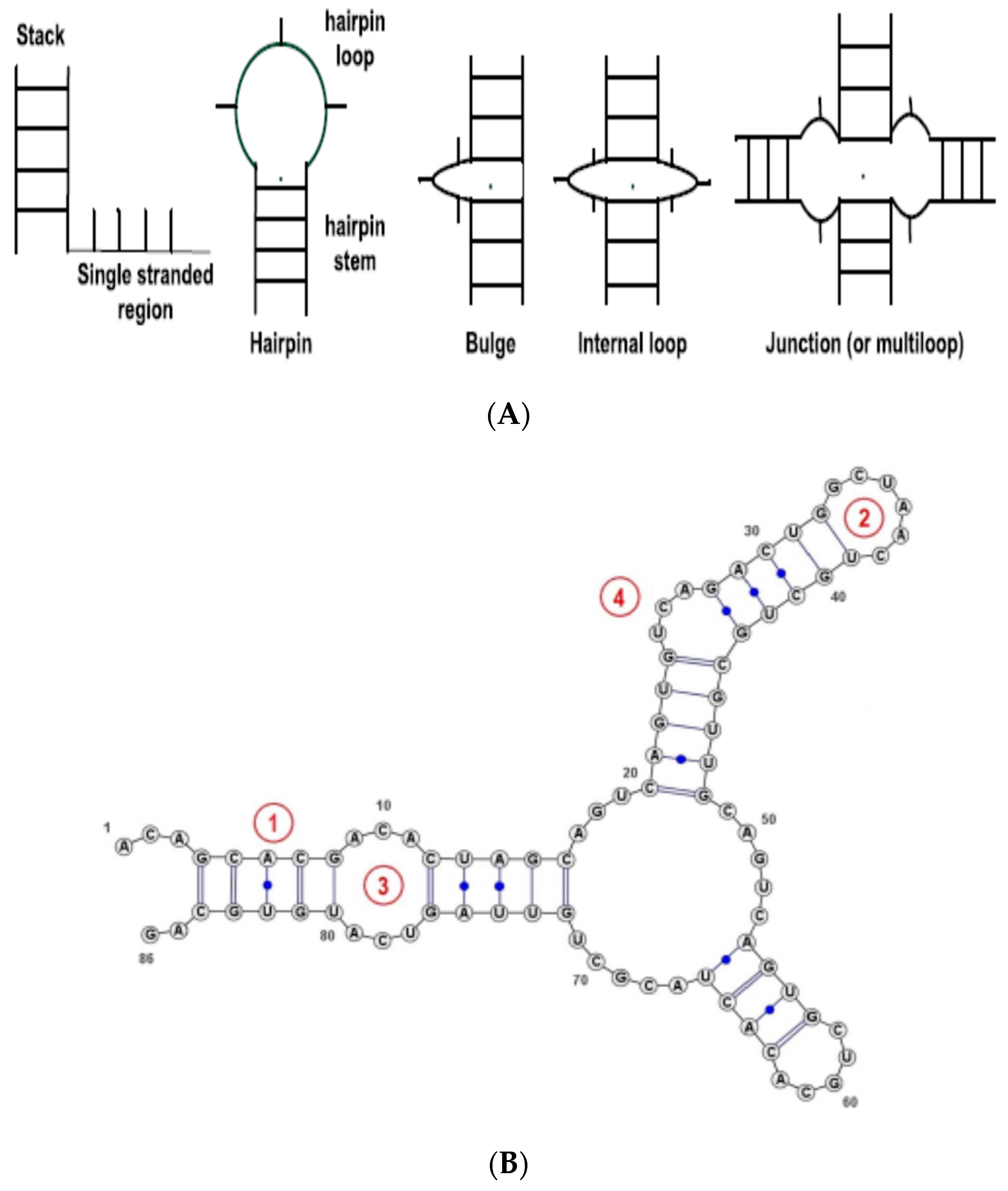 Molecules 23 00697 g001 550