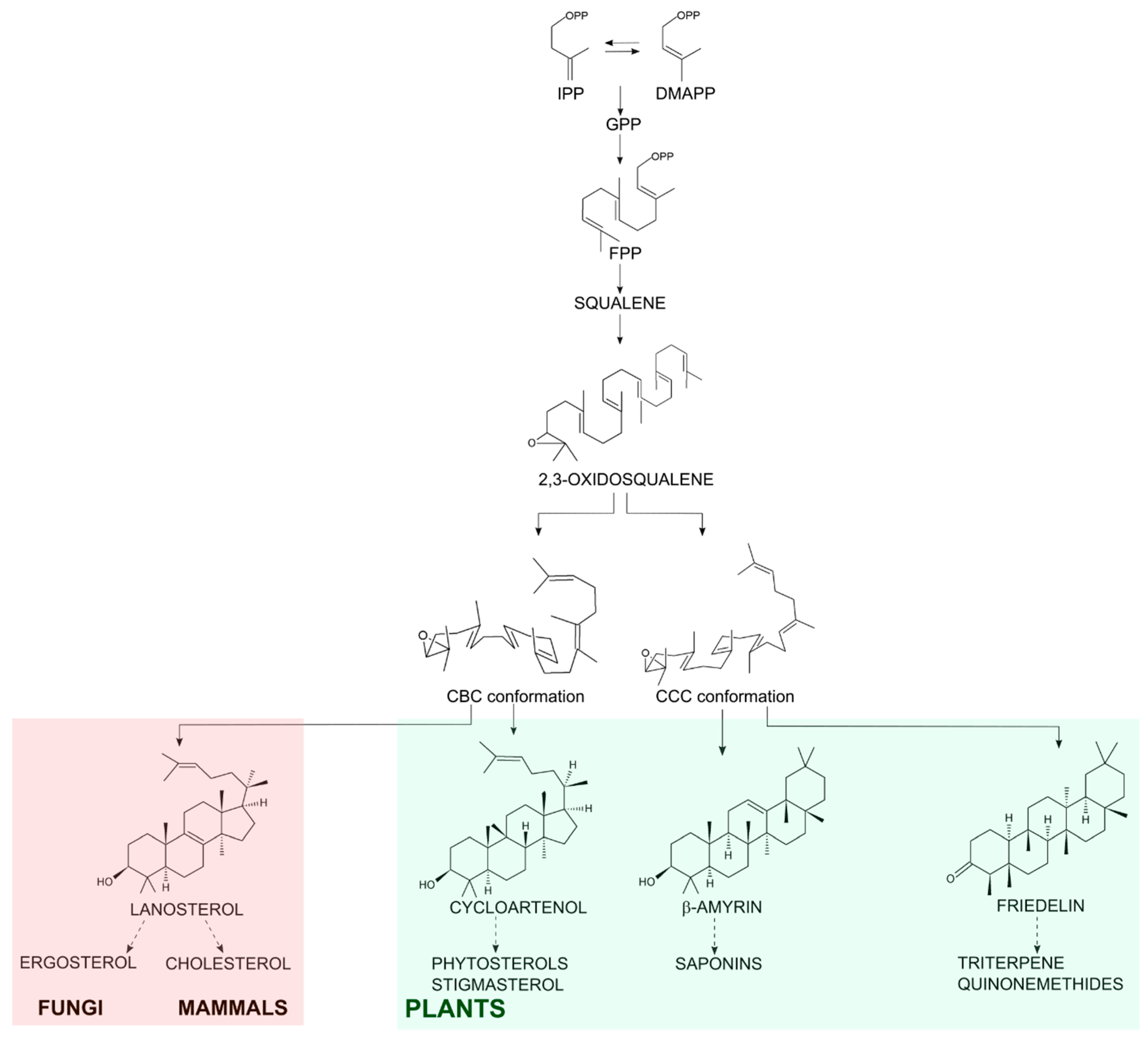 Molecules 23 00700 g001 550