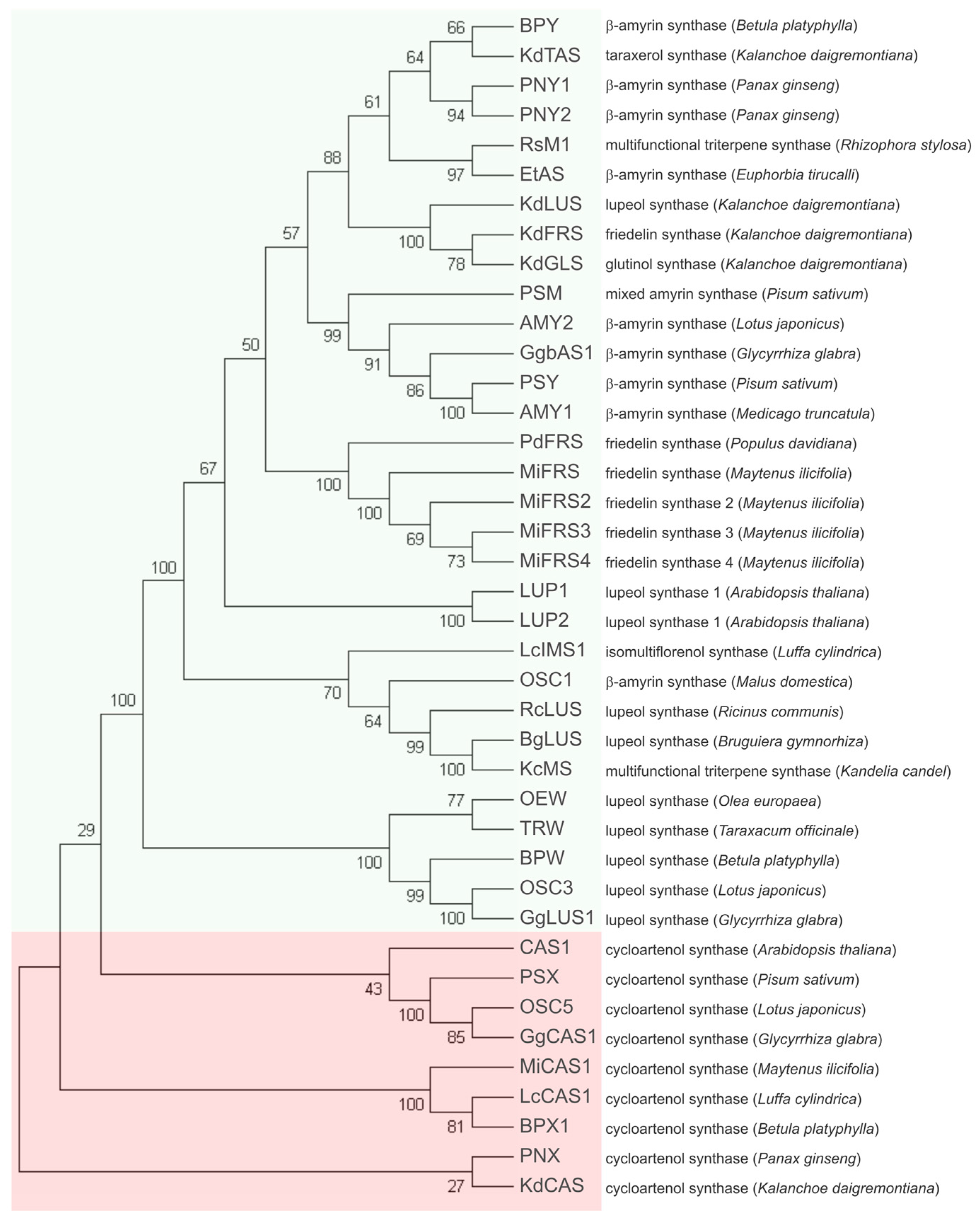 Molecules 23 00700 g002 550