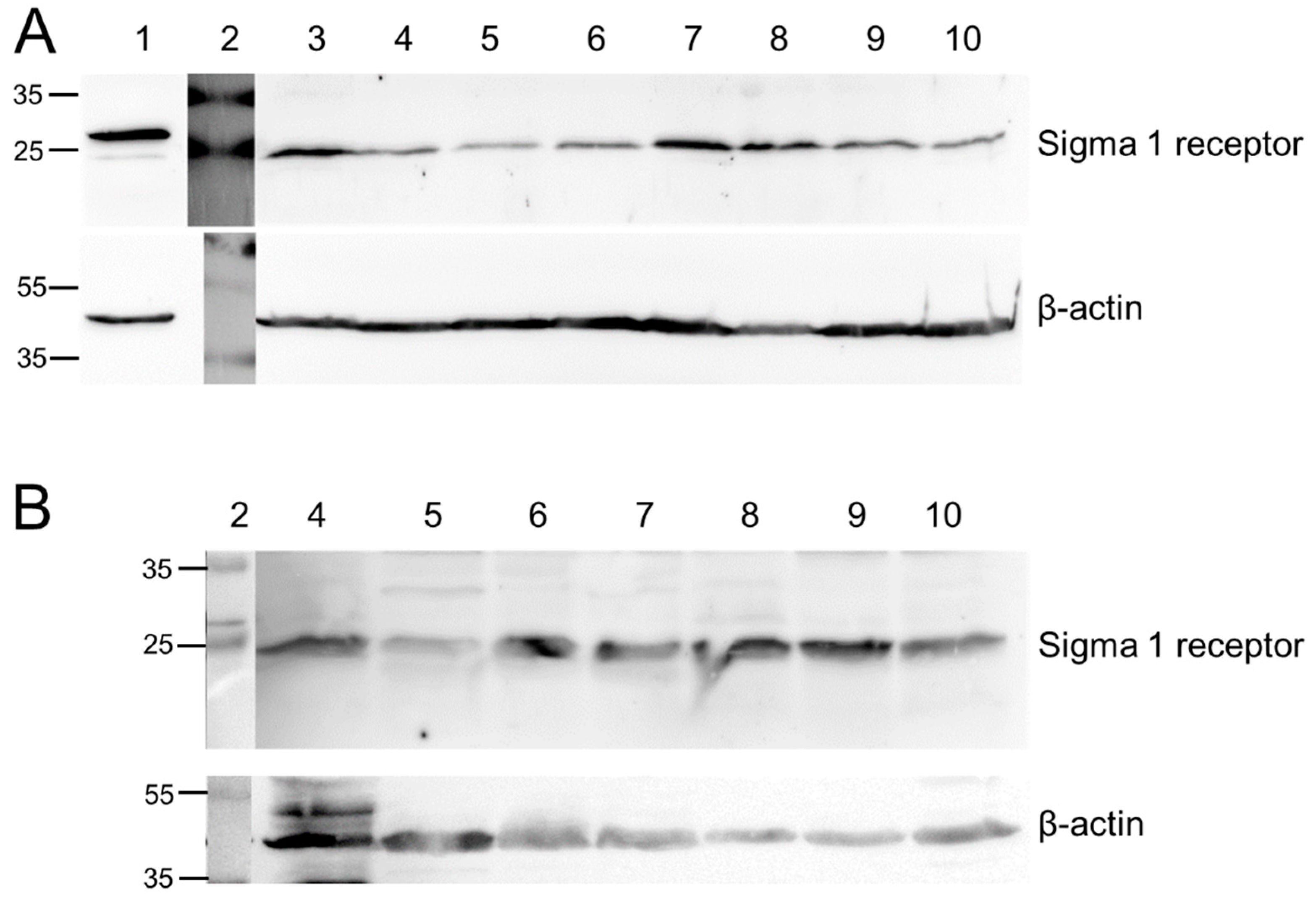Molecules 23 00702 g001 550