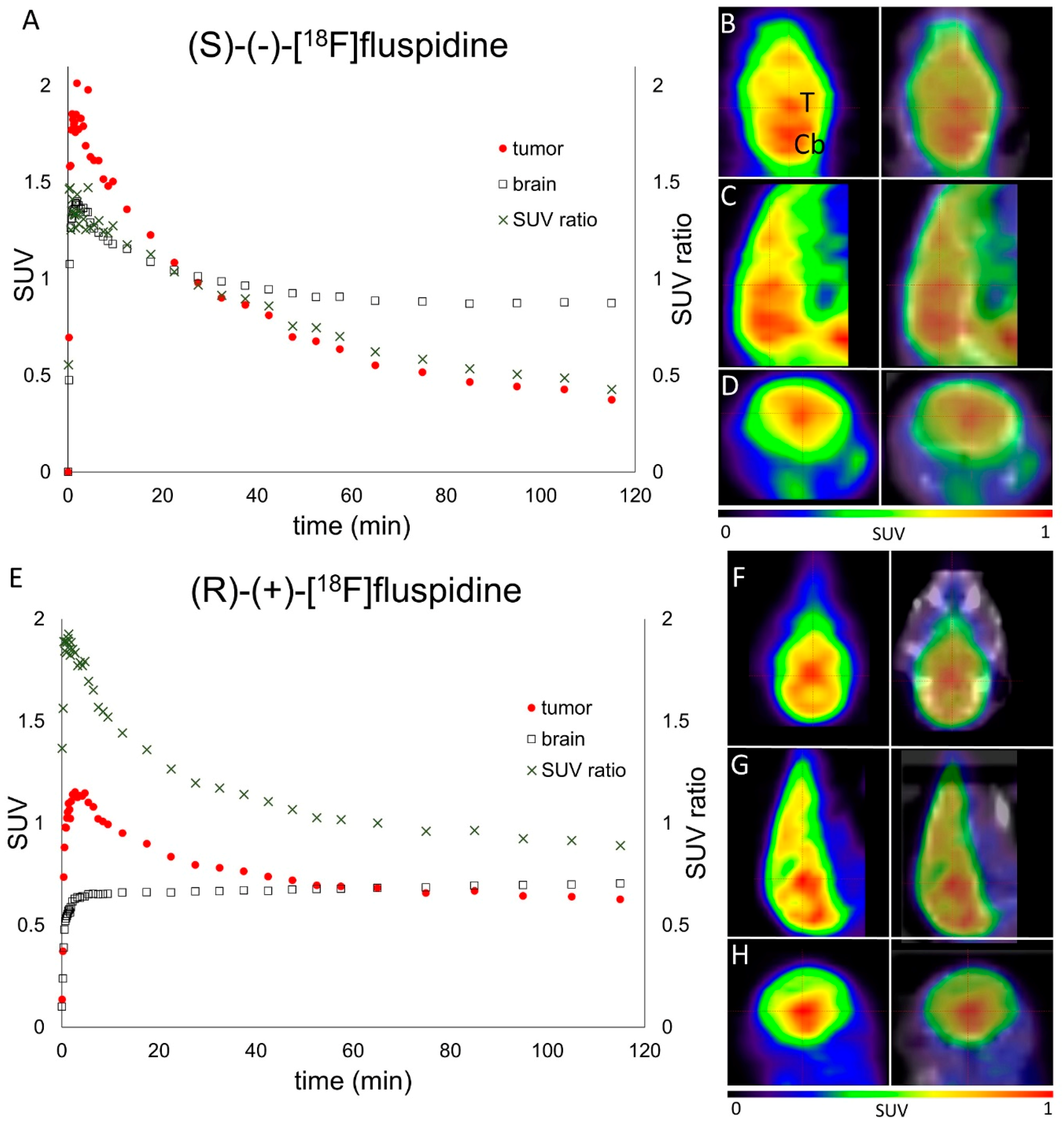 Molecules 23 00702 g004 550