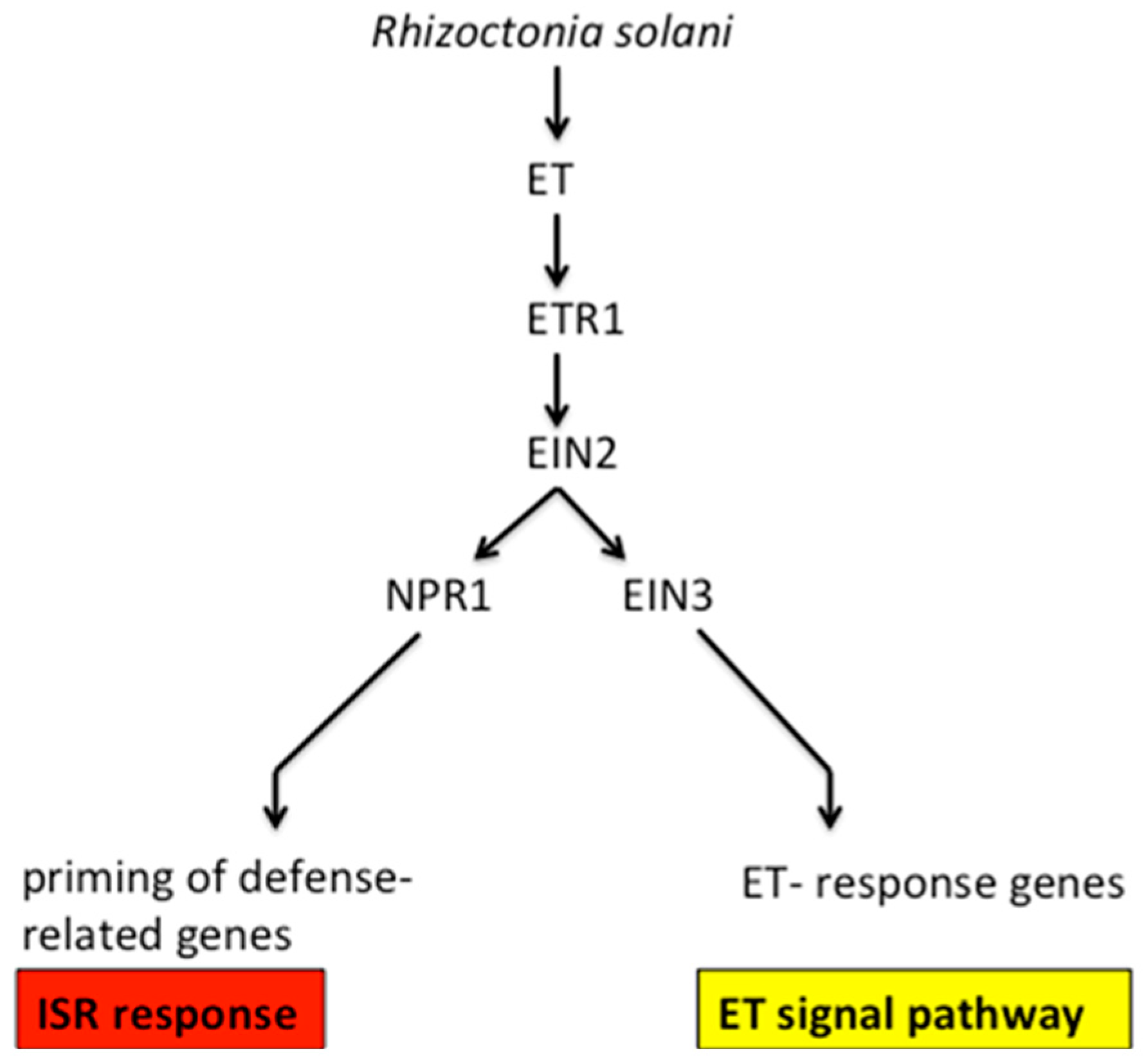 Molecules 23 00706 g010 550