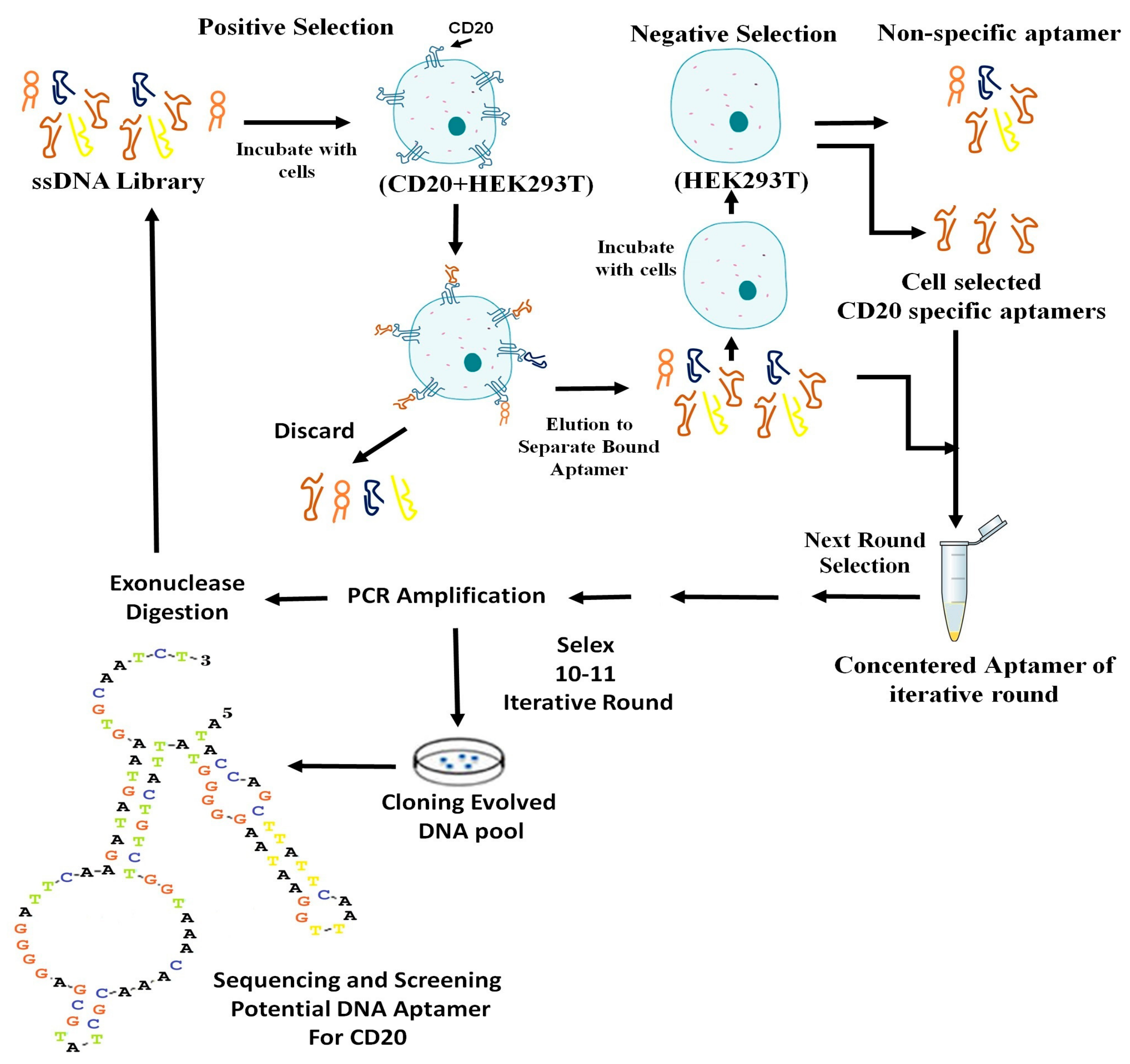 Molecules 23 00715 sch001