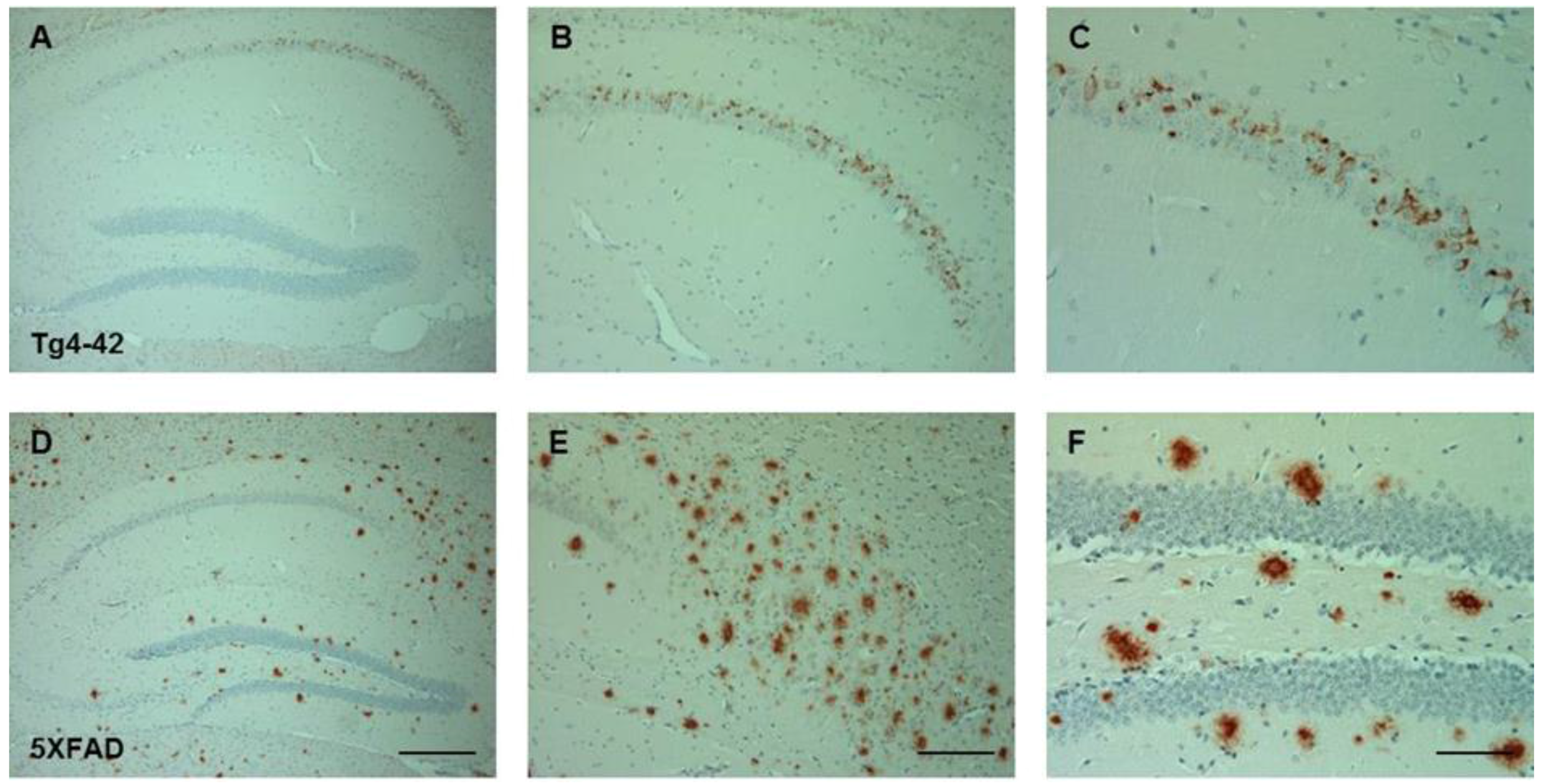 Molecules 23 00718 g001 Molecules 23 00718 g001