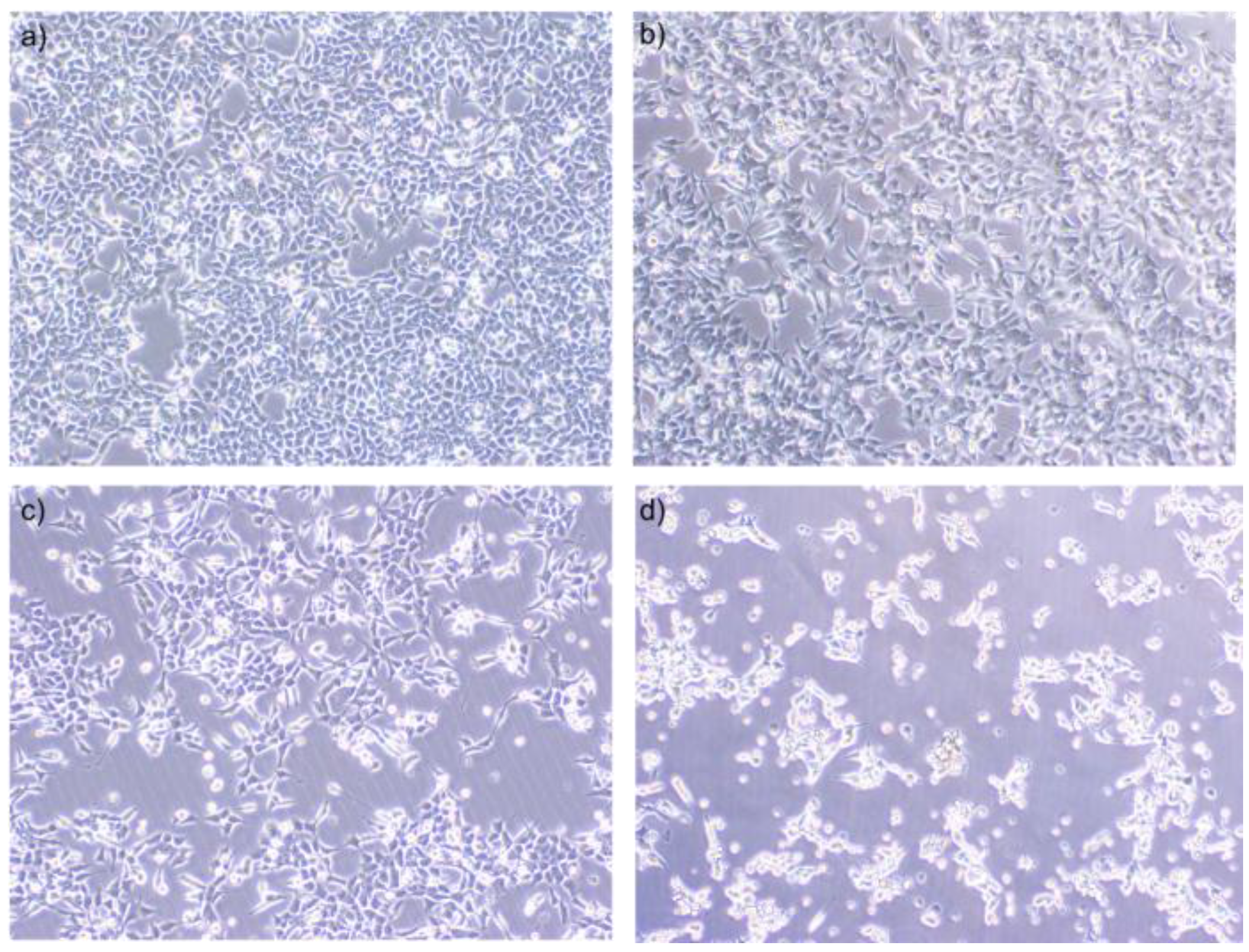 Molecules 23 00723 g002 550