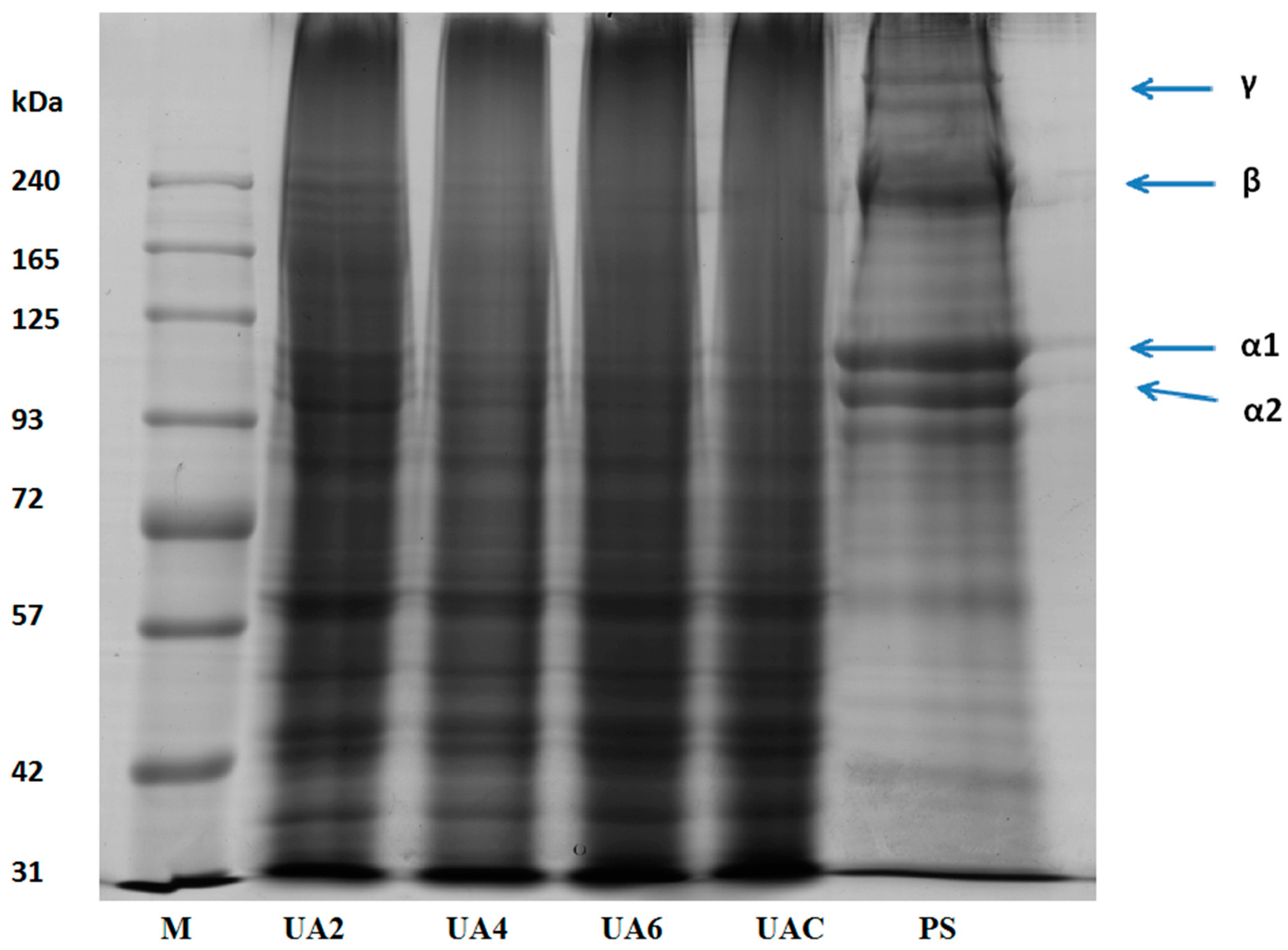 Molecules 23 00730 g001