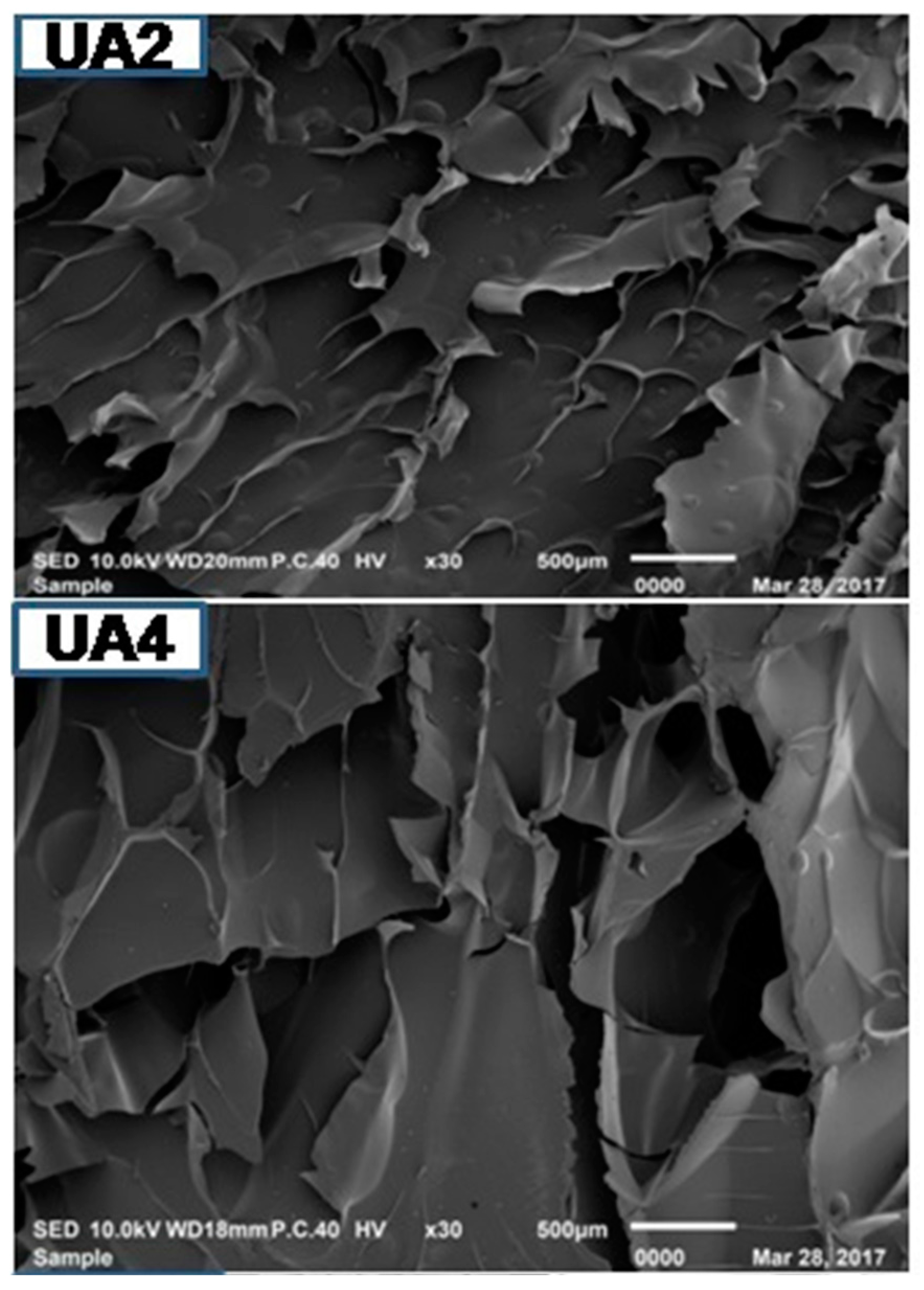 Molecules 23 00730 g003a