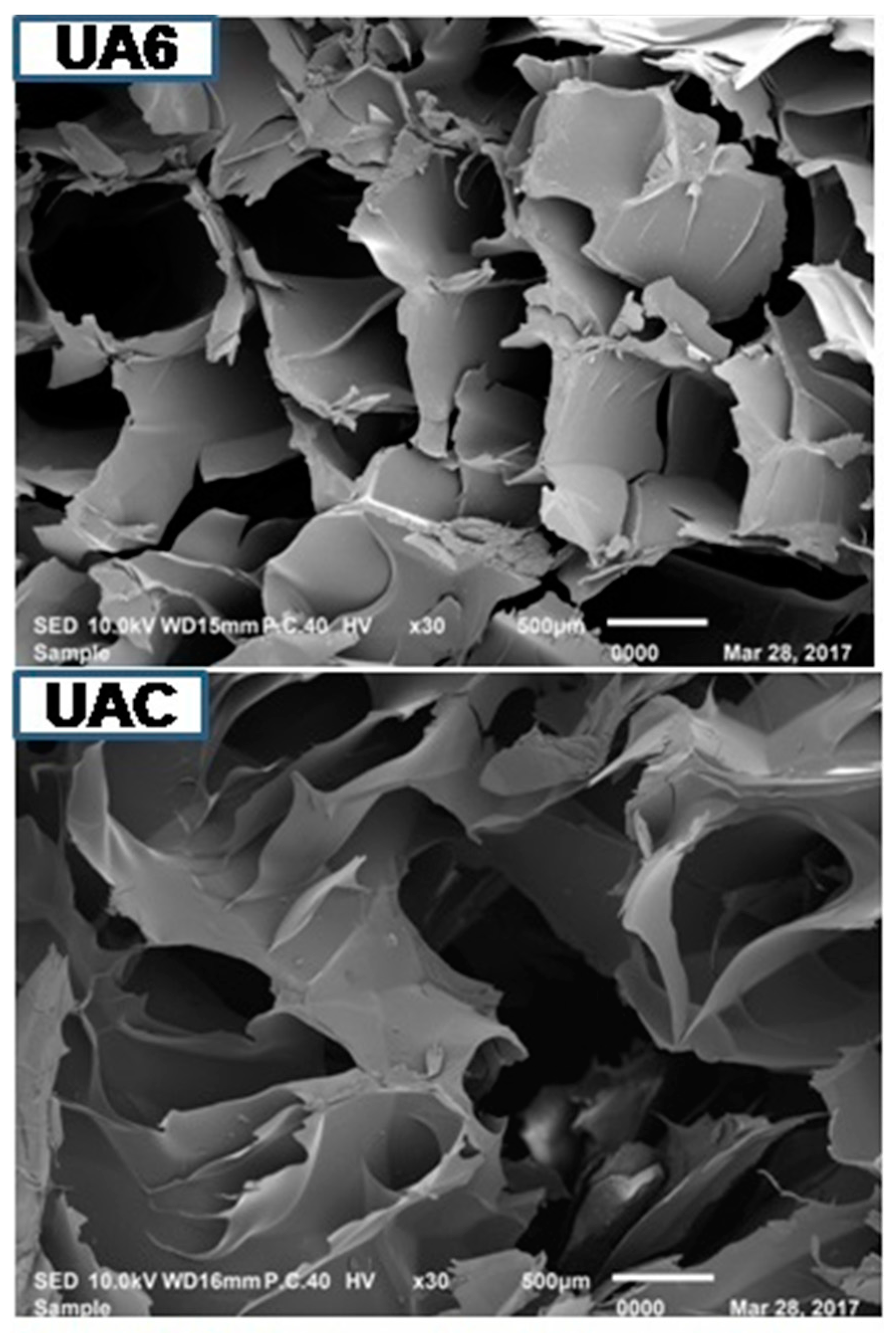 Molecules 23 00730 g003b