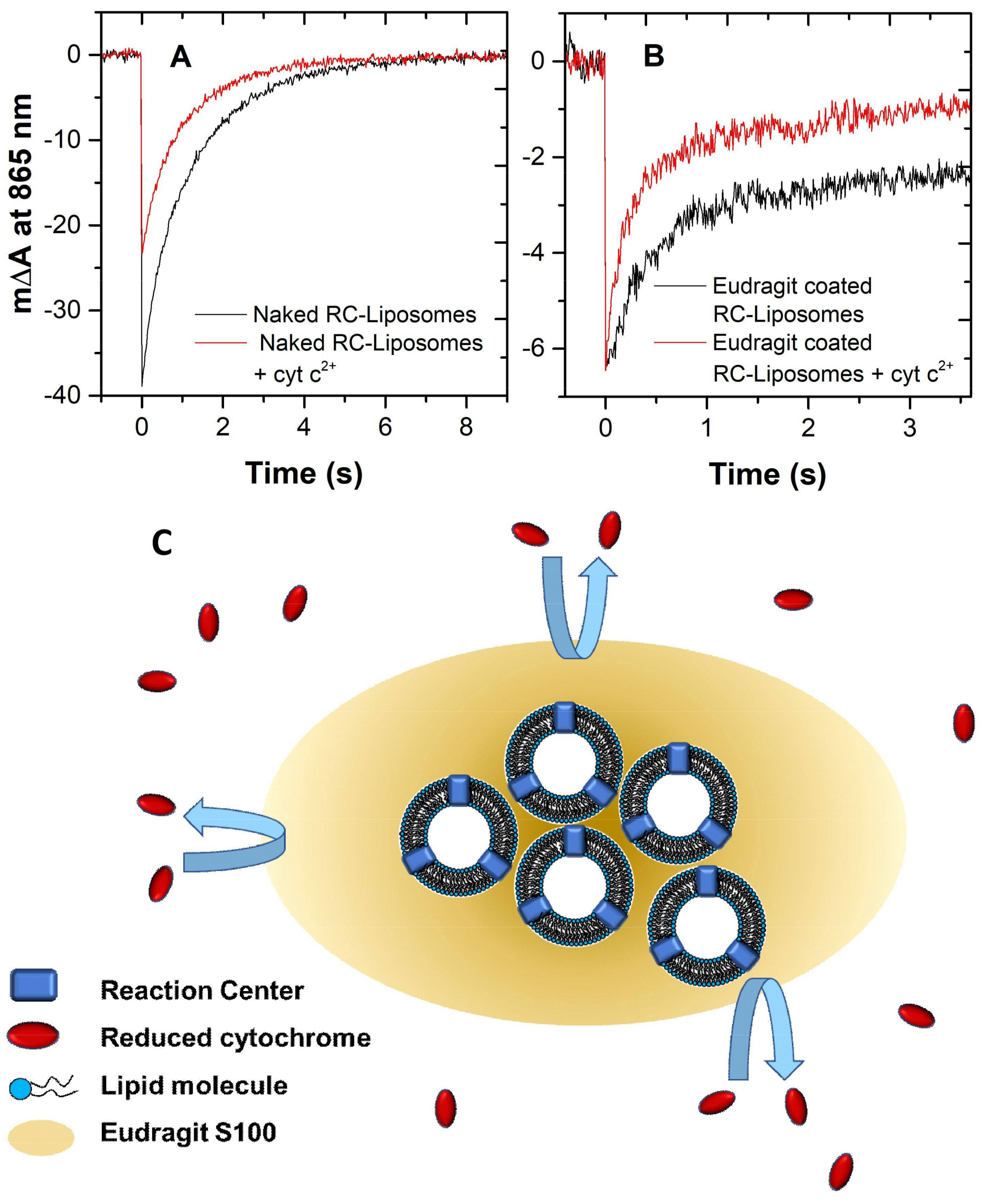 Molecules 23 00739 g006