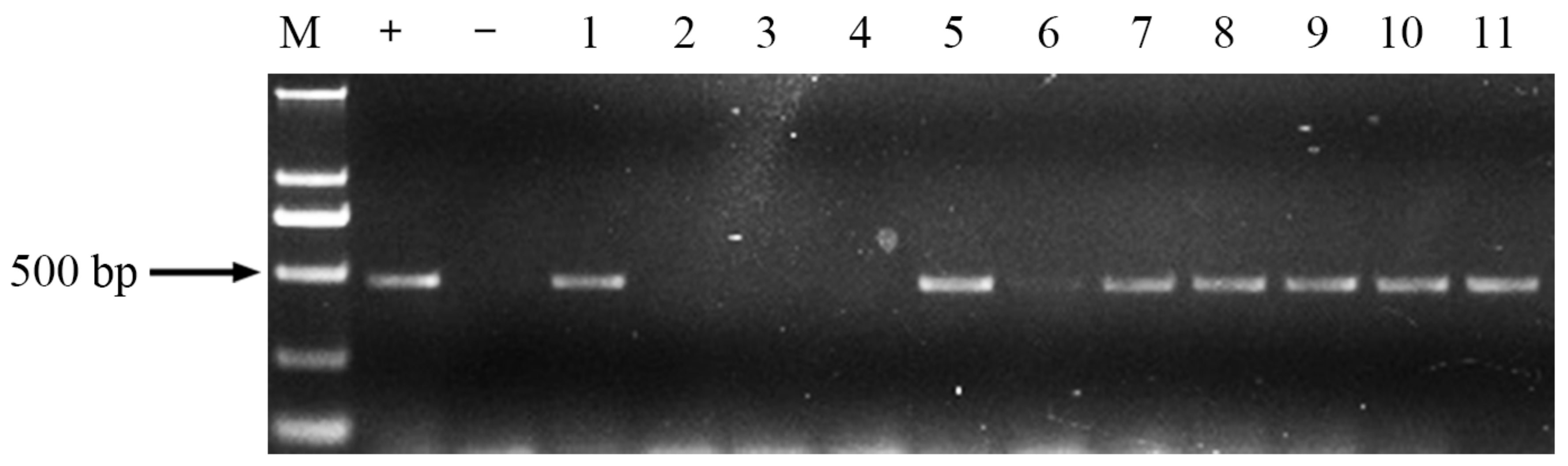 Molecules 23 00748 g006 550