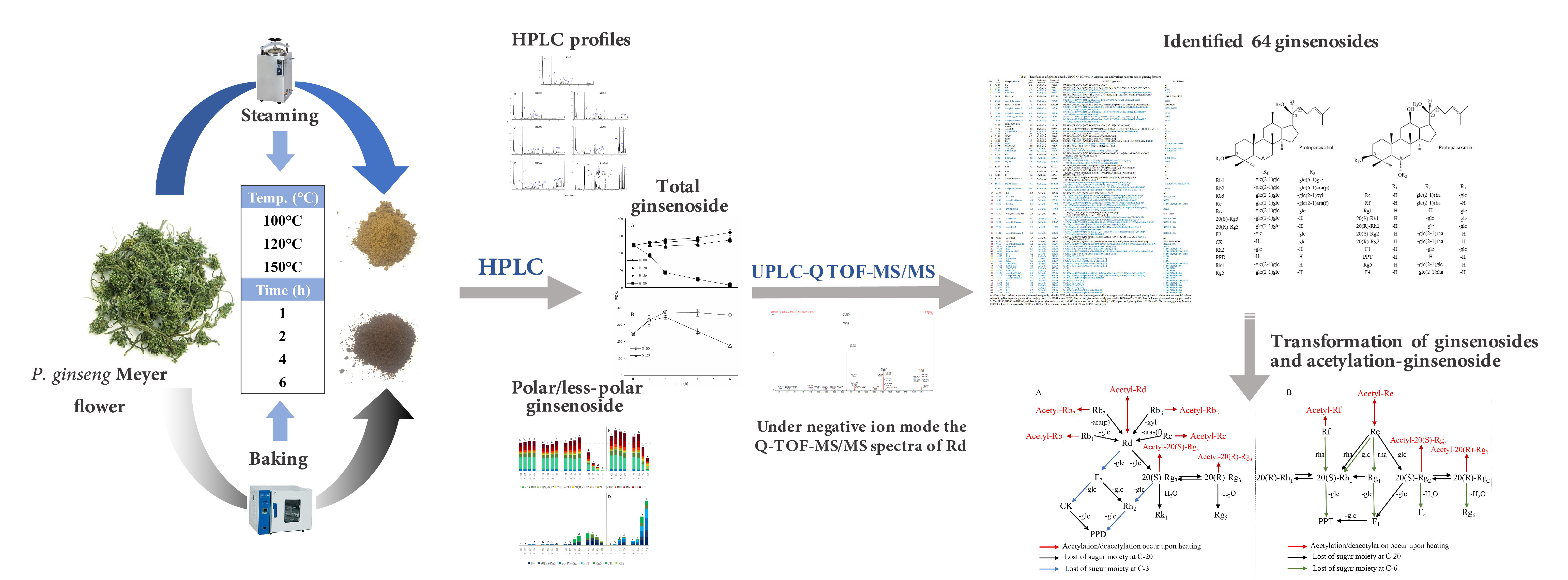 Molecules Free Full Text Intraconversion Of Polar Ginsenosides Graphical Abstract