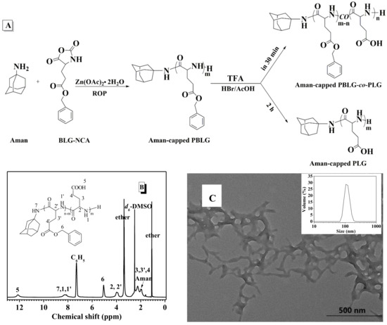 Molecules Free Full Text Zn Oac 2 Catalyzing Ring Opening Polymerization Of N Carboxyanhydrides For The Synthesis Of Well Defined Polypeptides Html