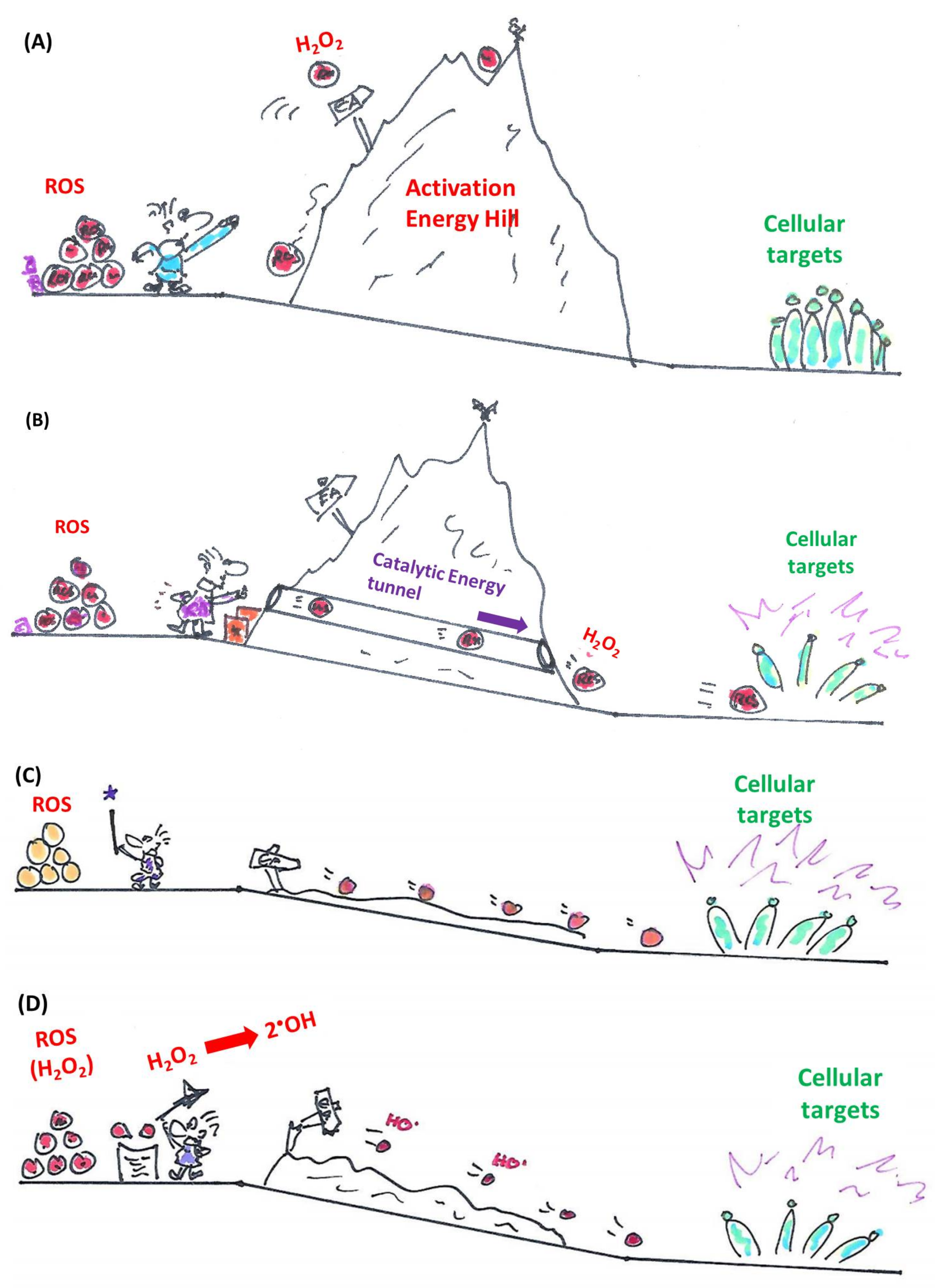 Molecules 23 00765 g001 Molecules 23 00765 g001