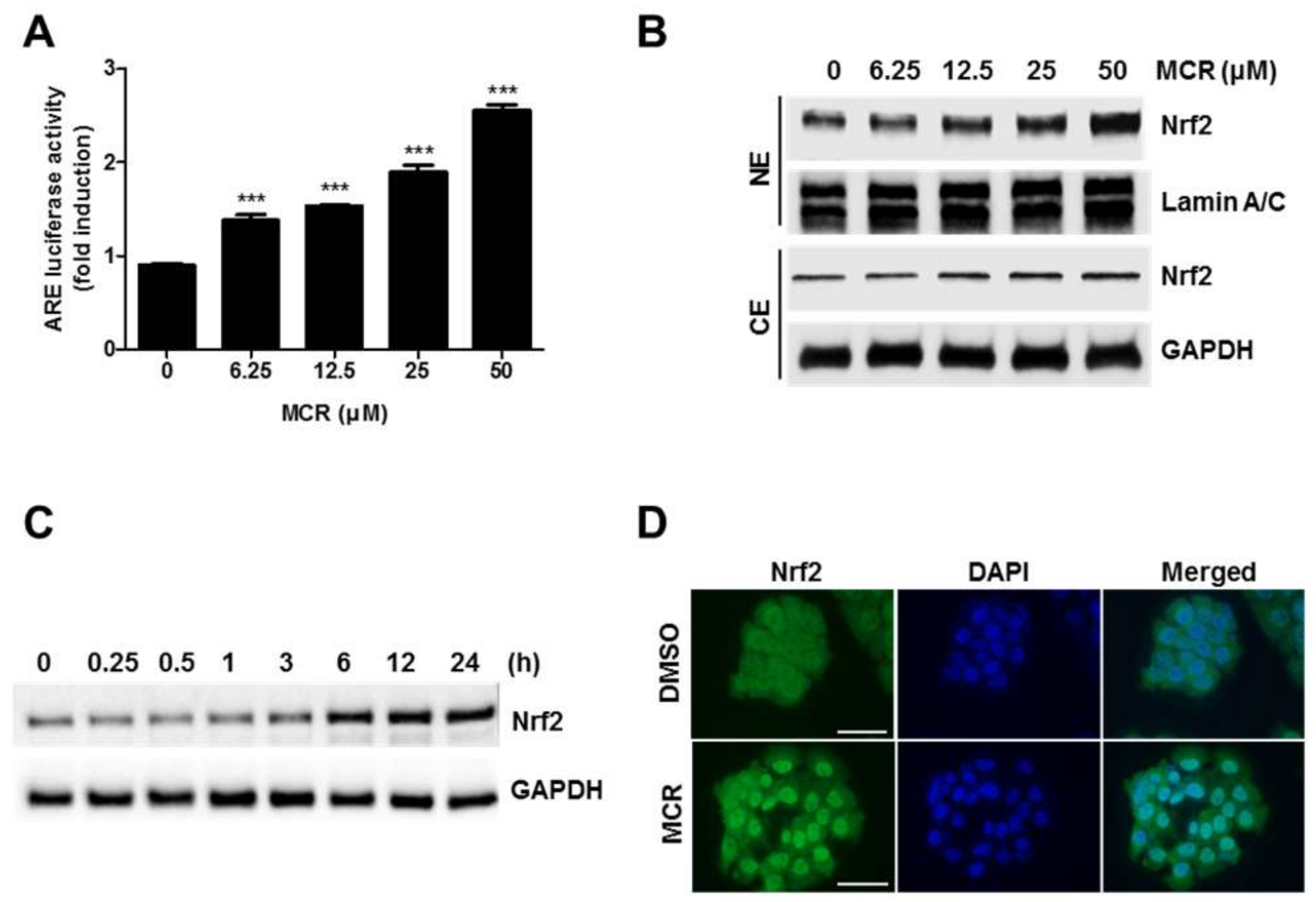 Molecules 23 00768 g002
