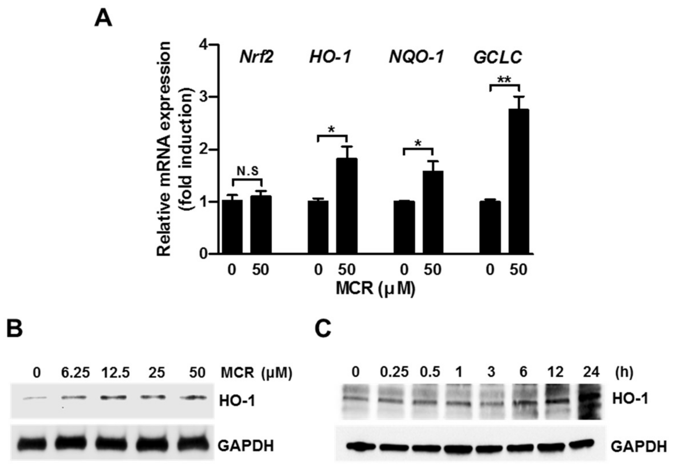 Molecules 23 00768 g003