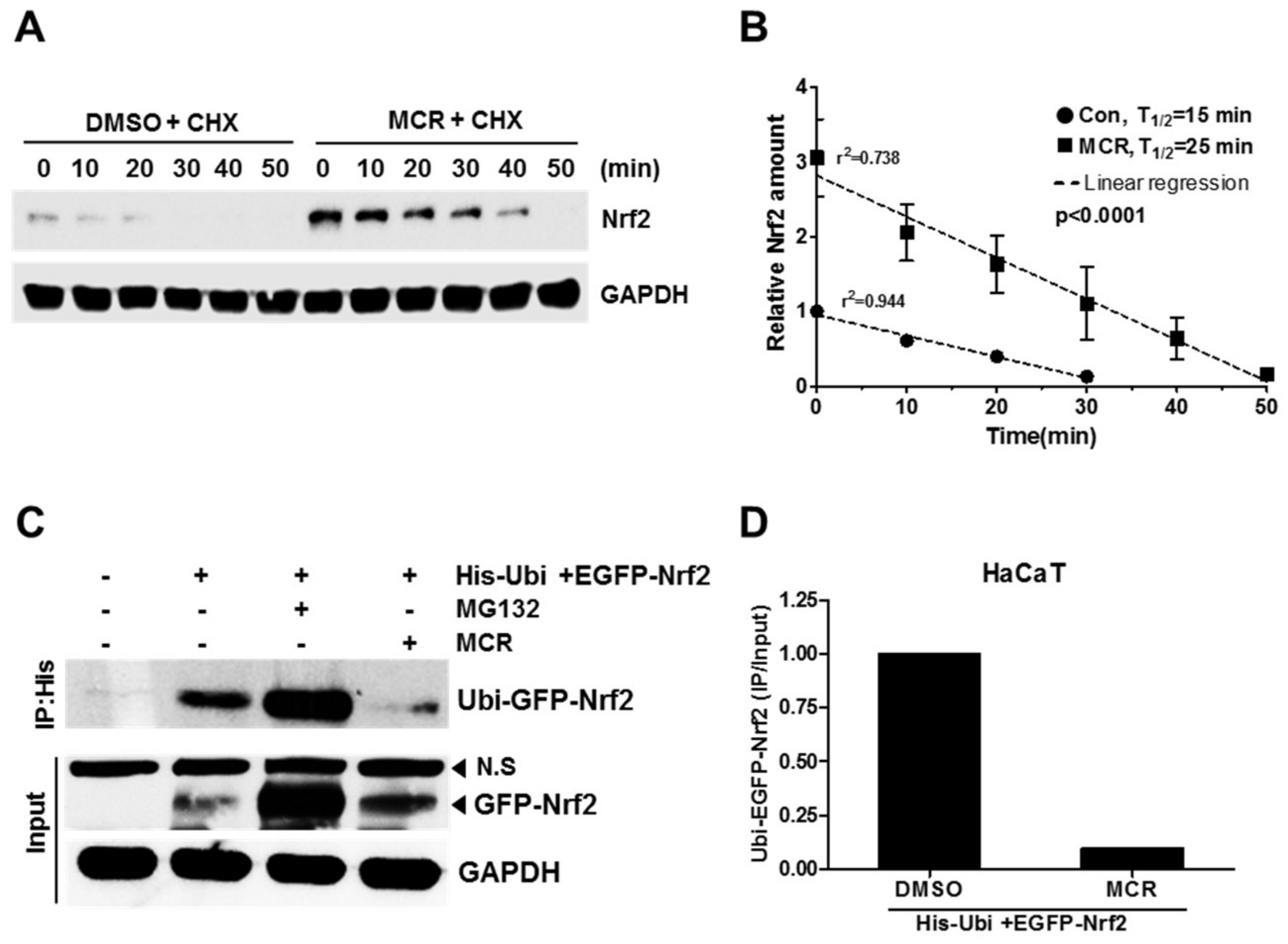 Molecules 23 00768 g004