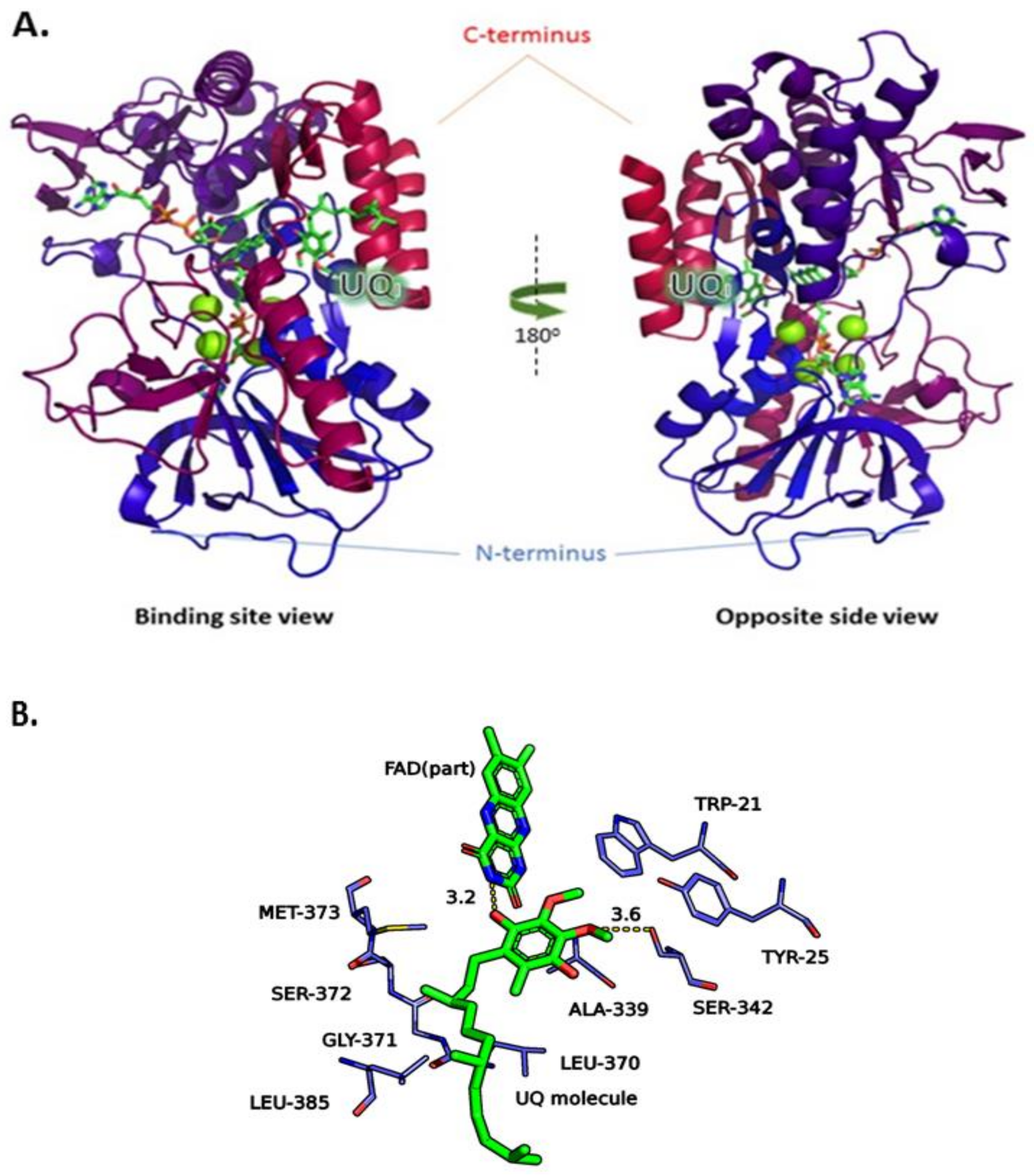 Molecules 23 00772 g003