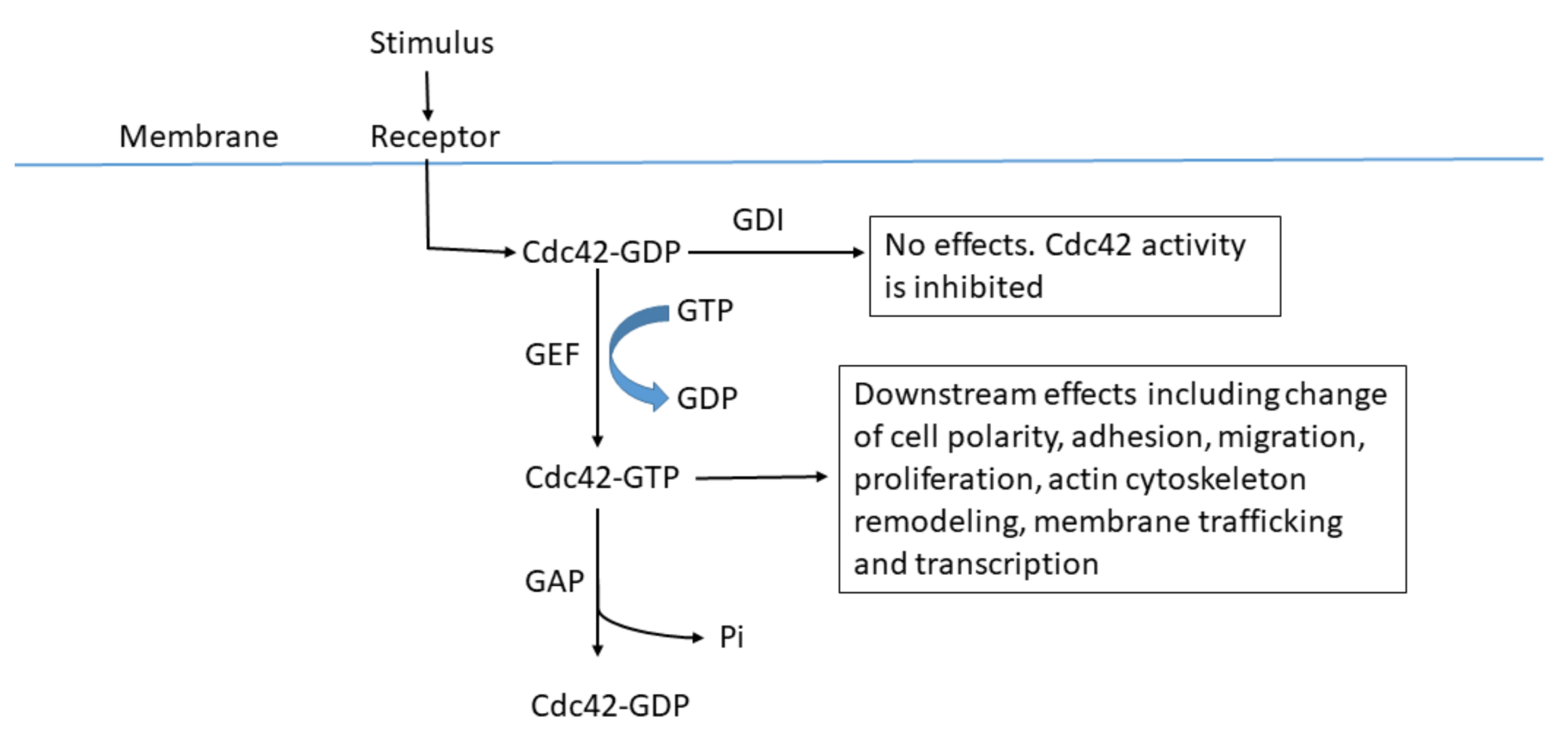 Molecules 23 00787 g001