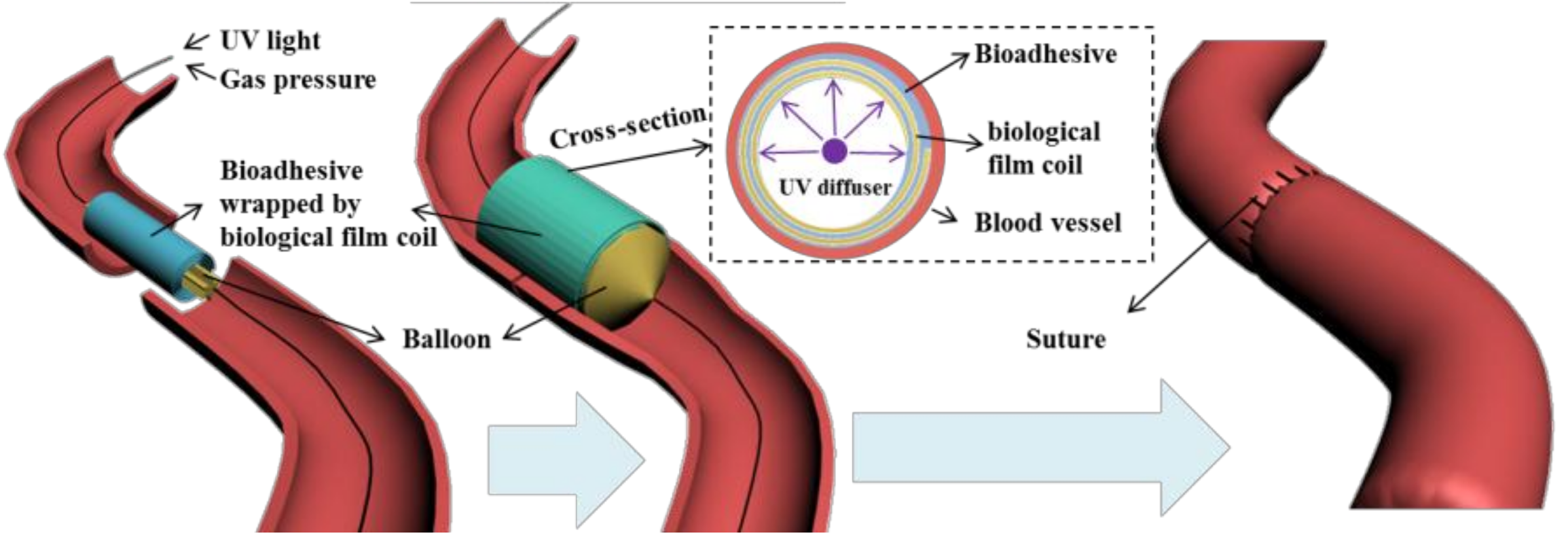 Molecules 23 00796 g001 550