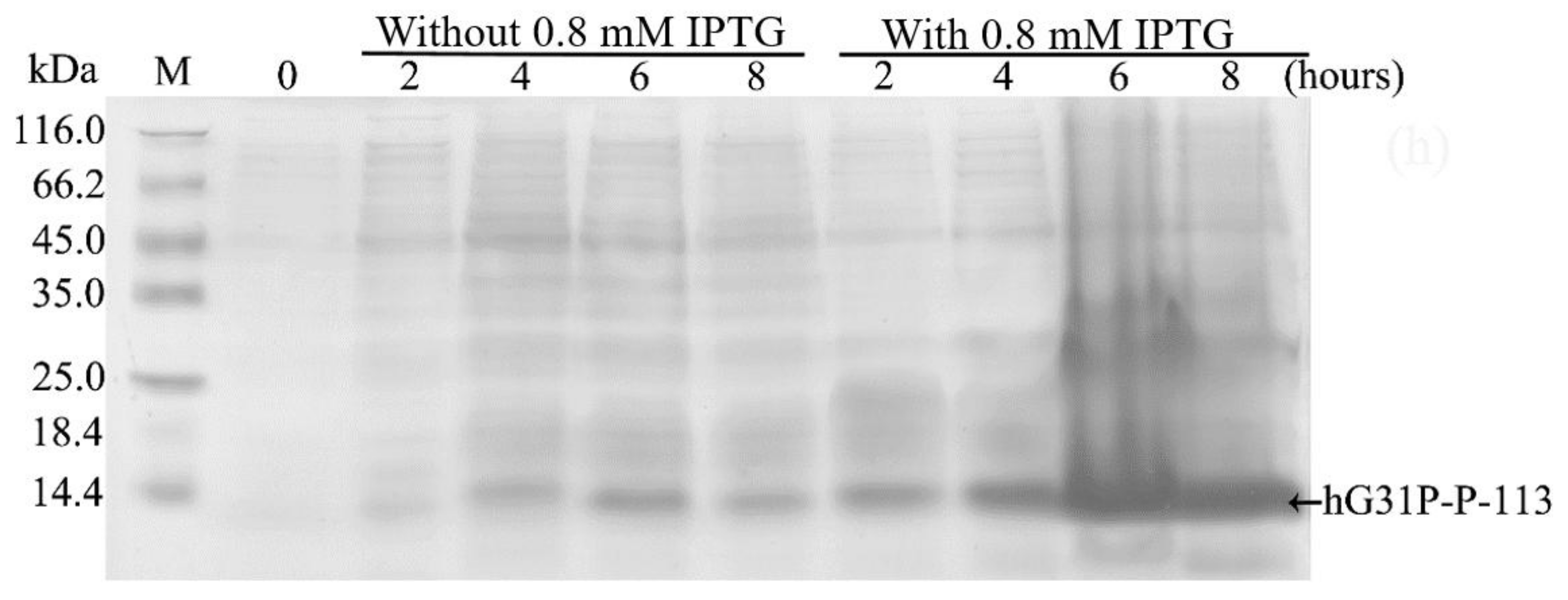 Molecules 23 00800 g002