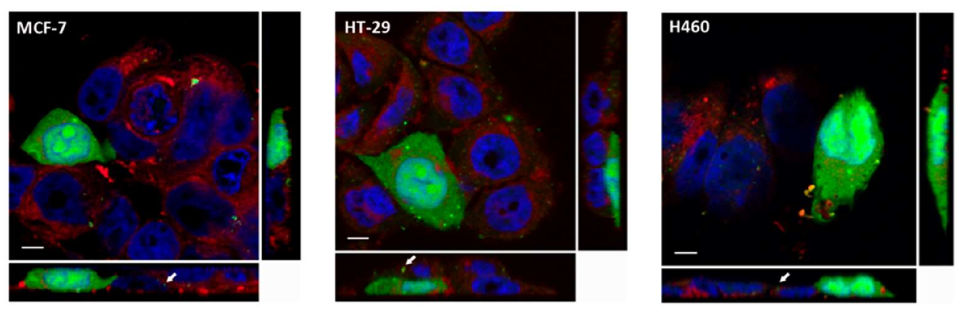 Molecules 23 00801 g001