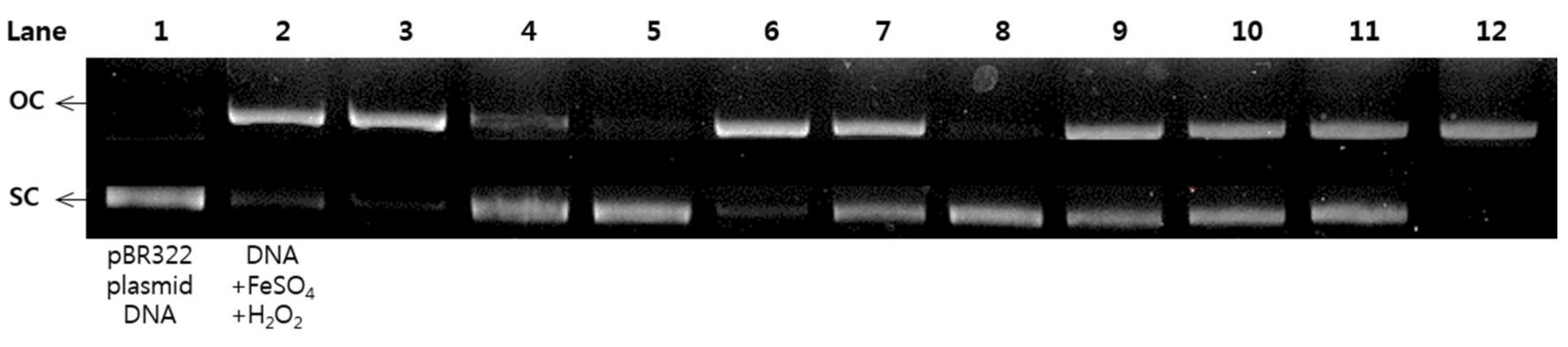 Molecules 23 00816 g005 Molecules 23 00816 g005