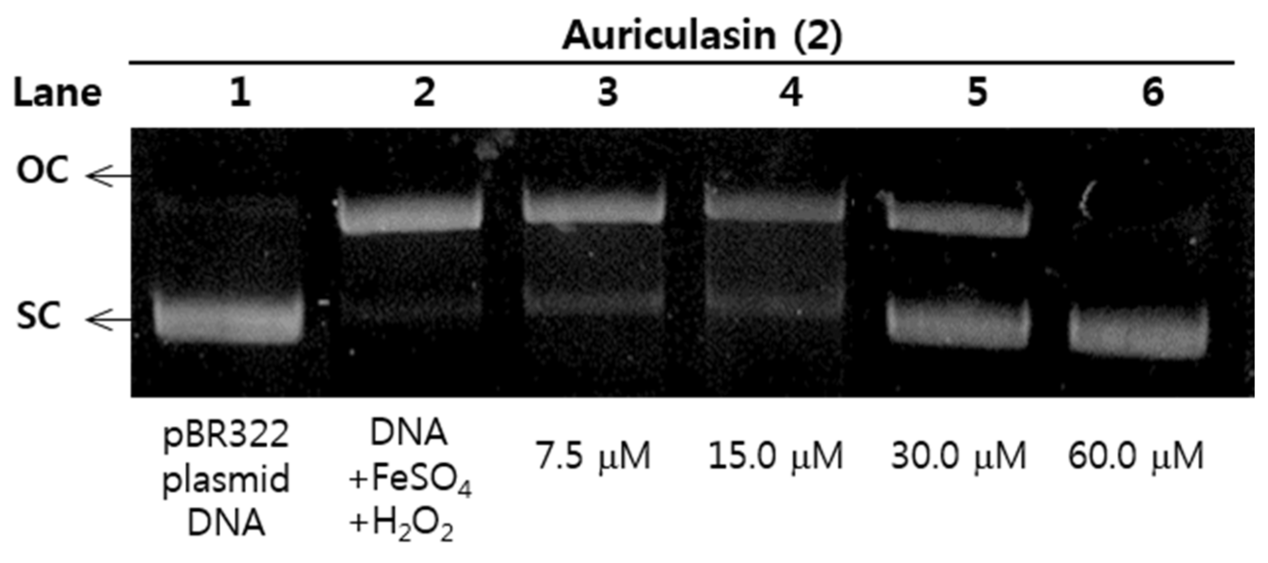 Molecules 23 00816 g007 Molecules 23 00816 g007