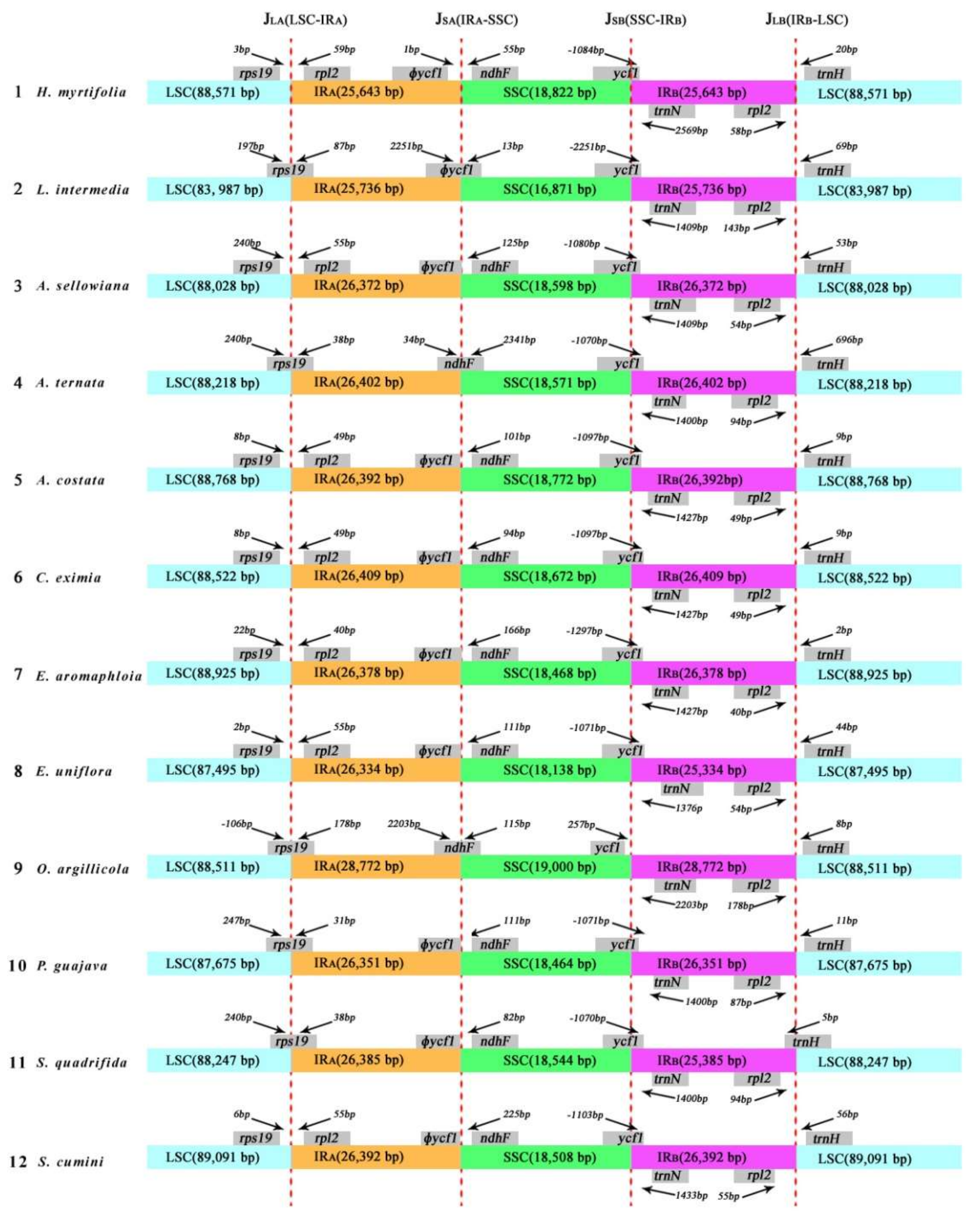 Molecules 23 00846 g004 Molecules 23 00846 g004