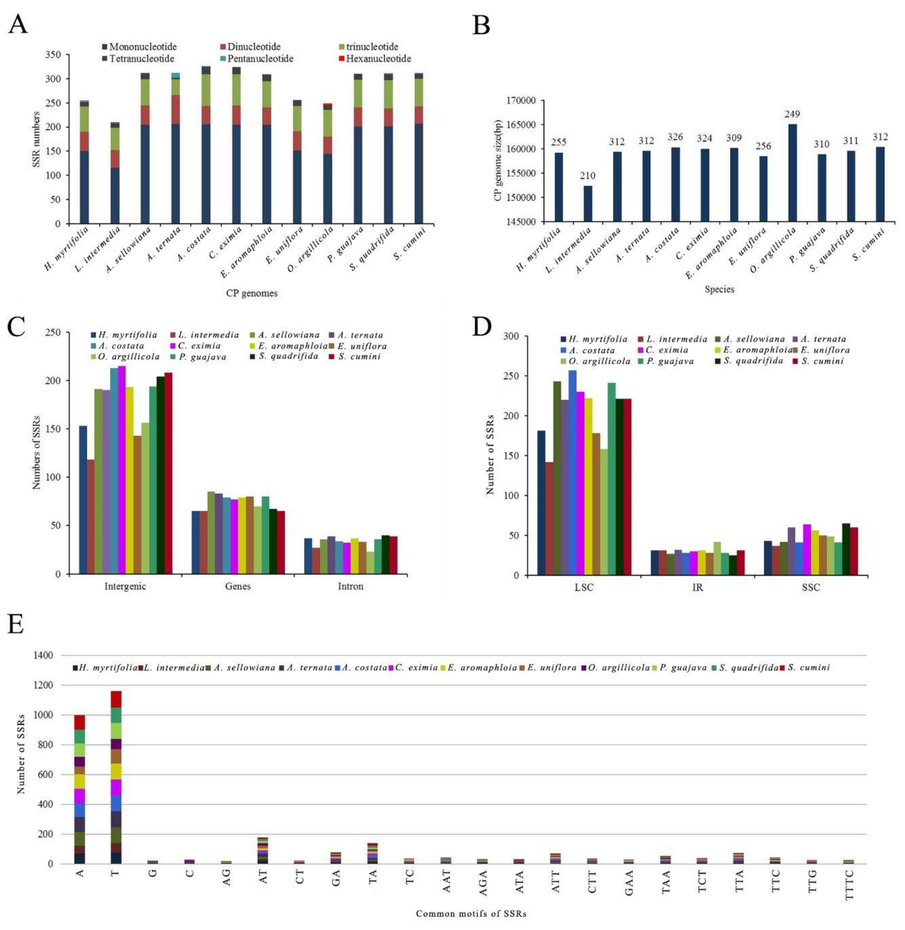 Molecules 23 00846 g006 Molecules 23 00846 g006