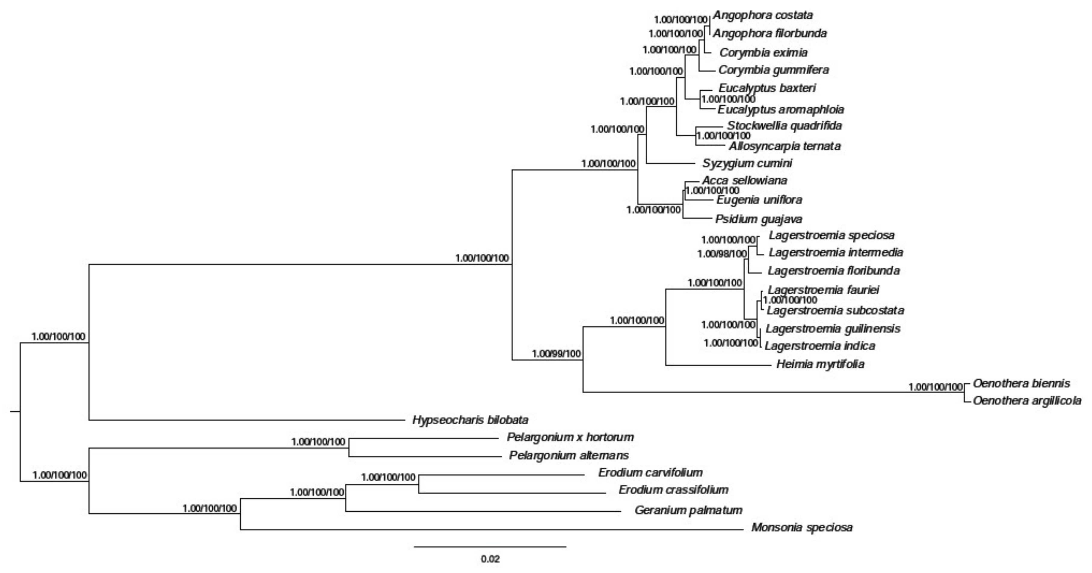 Molecules 23 00846 g008 Molecules 23 00846 g008