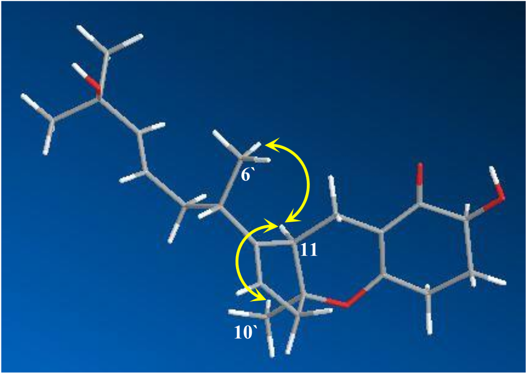 Molecules 23 00855 g003 550