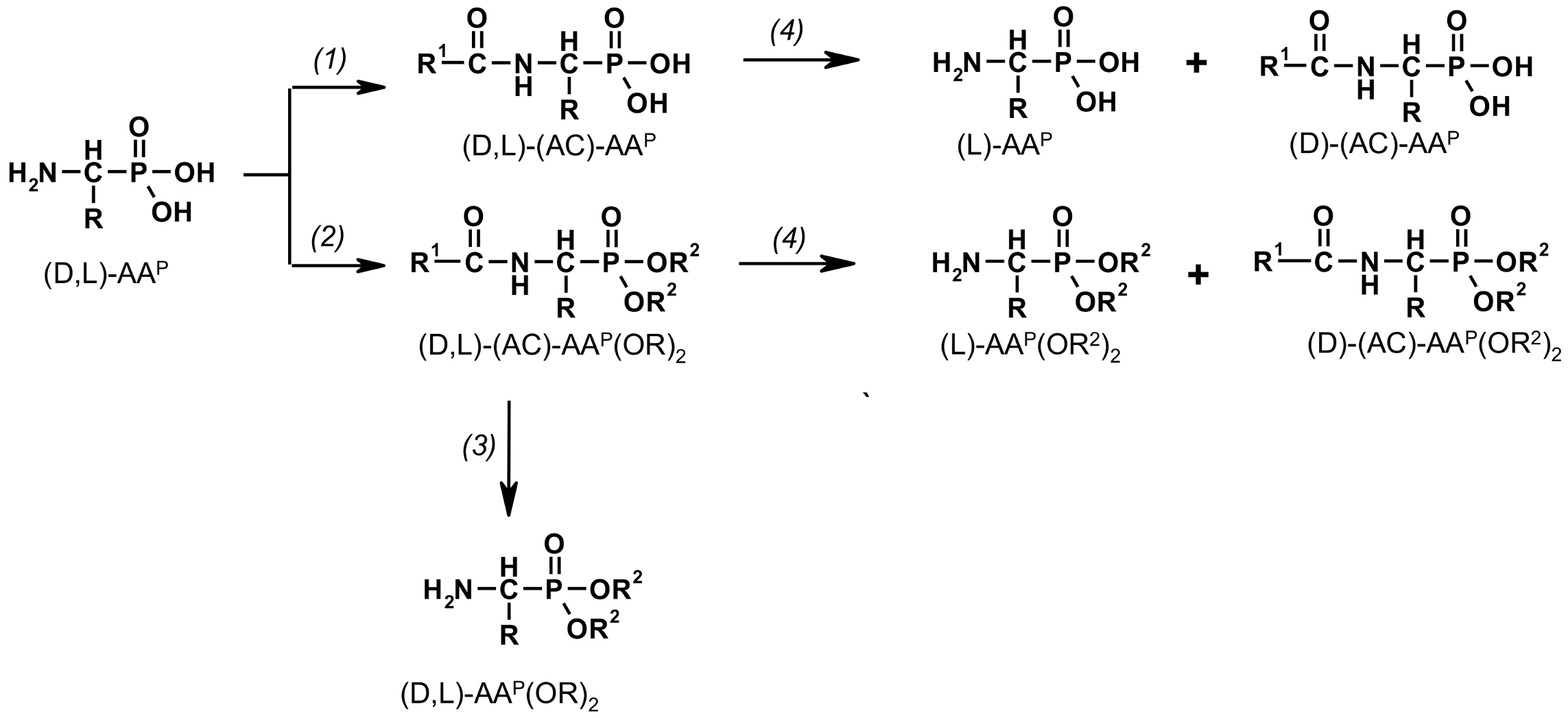 Molecules Free Full Text 1 Acylamino Alkylphosphonic Acids Alkaline Deacylation Html