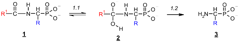 Molecules 23 00859 i022