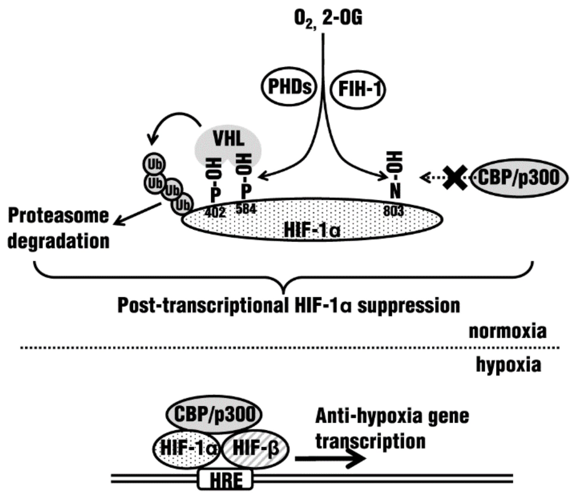 Molecules 23 00885 g001 Molecules 23 00885 g001