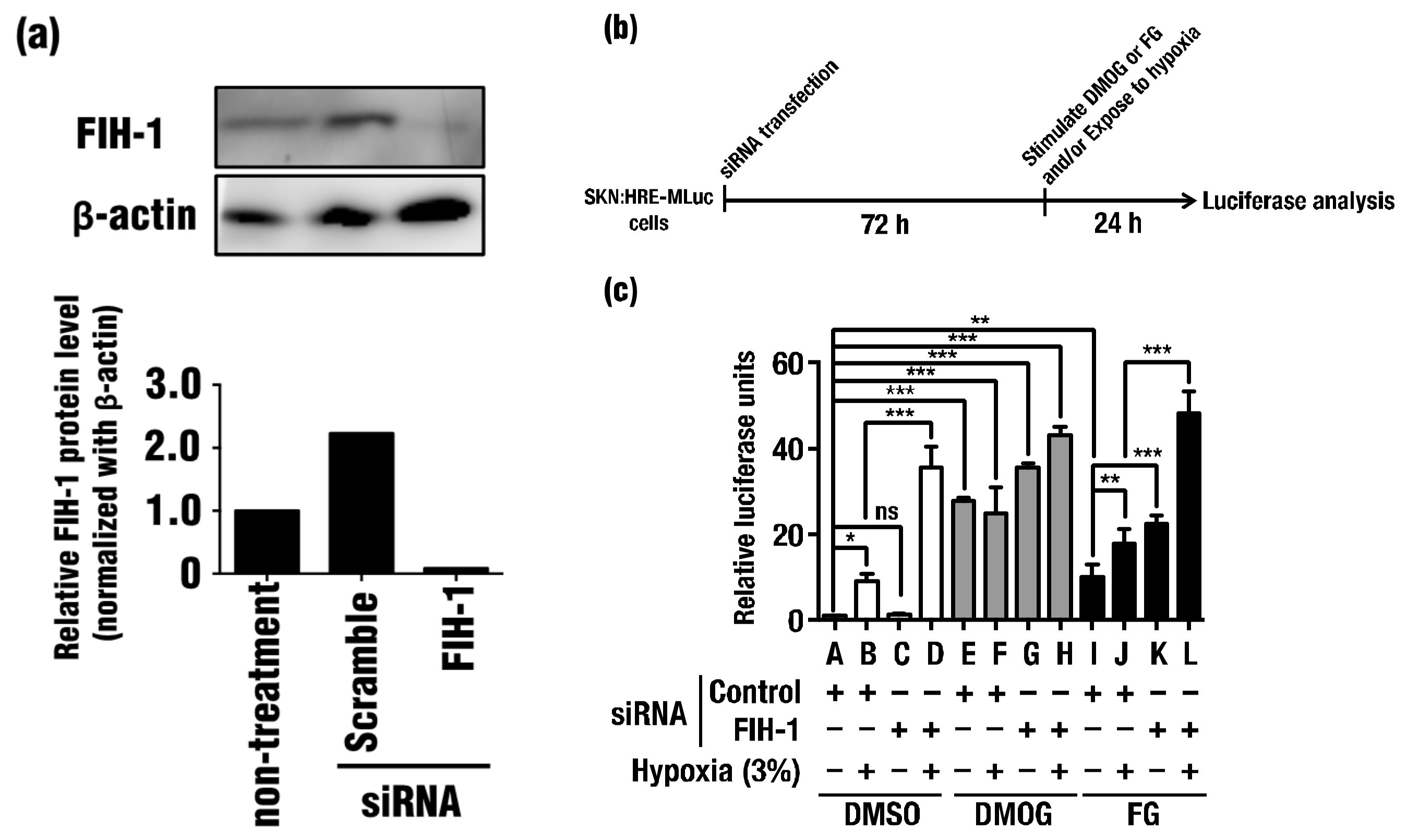 Molecules 23 00885 g003 Molecules 23 00885 g003