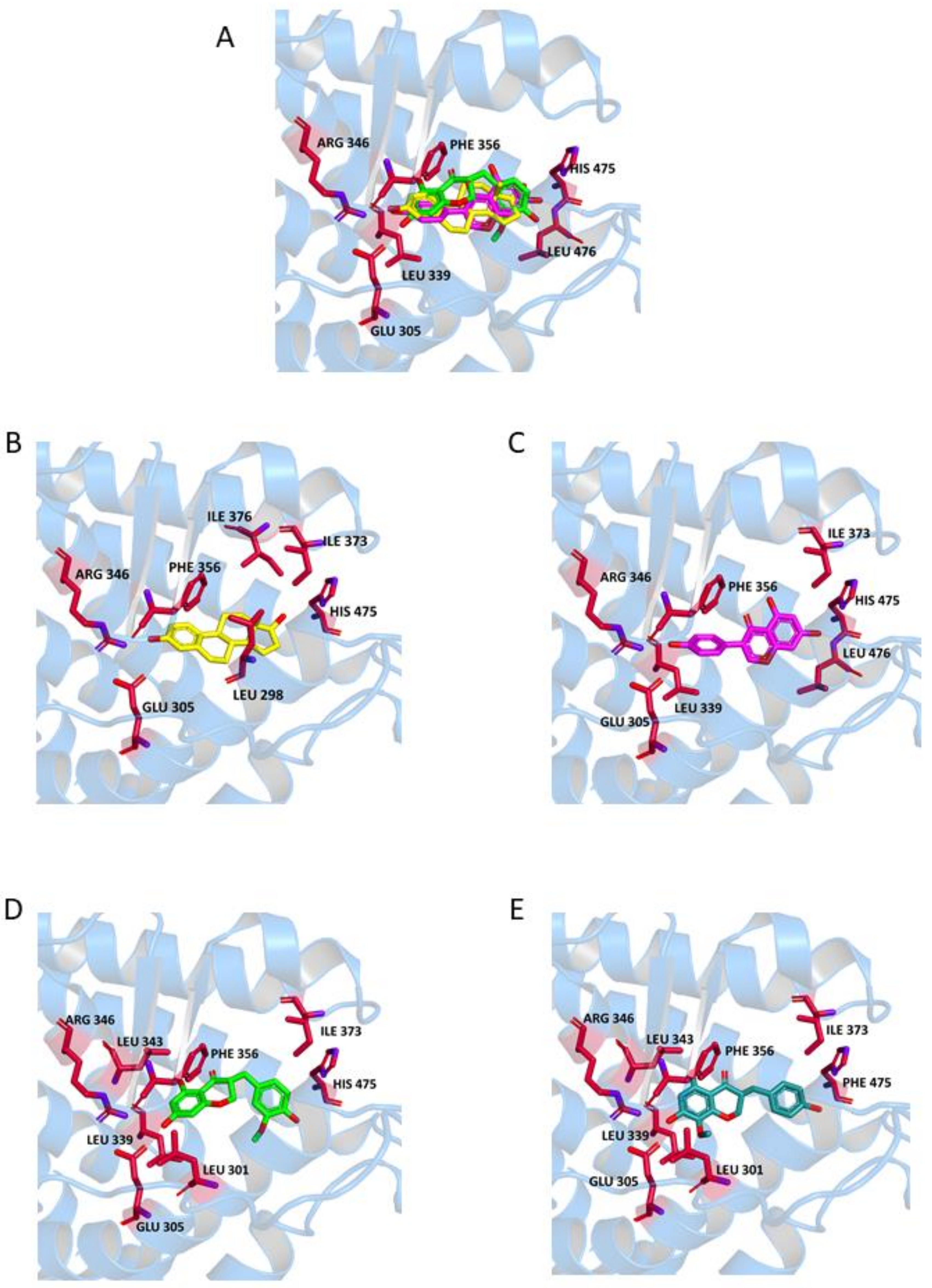 Molecules 23 00894 g006