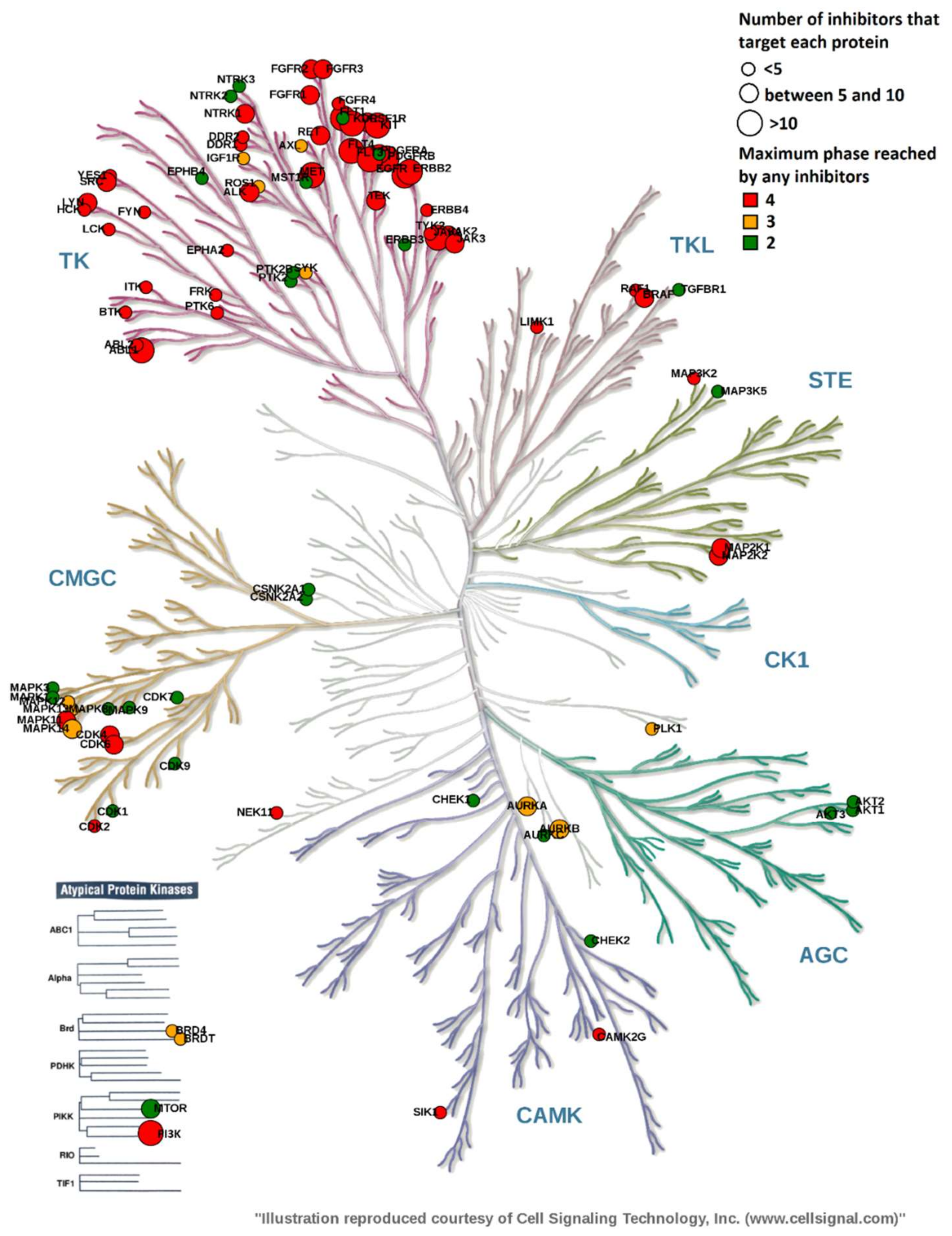 Molecules 23 00908 g008 Molecules 23 00908 g008