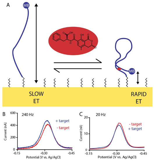Electrochemical AptamerBased Sensors for Rapid PointofUse Monitoring