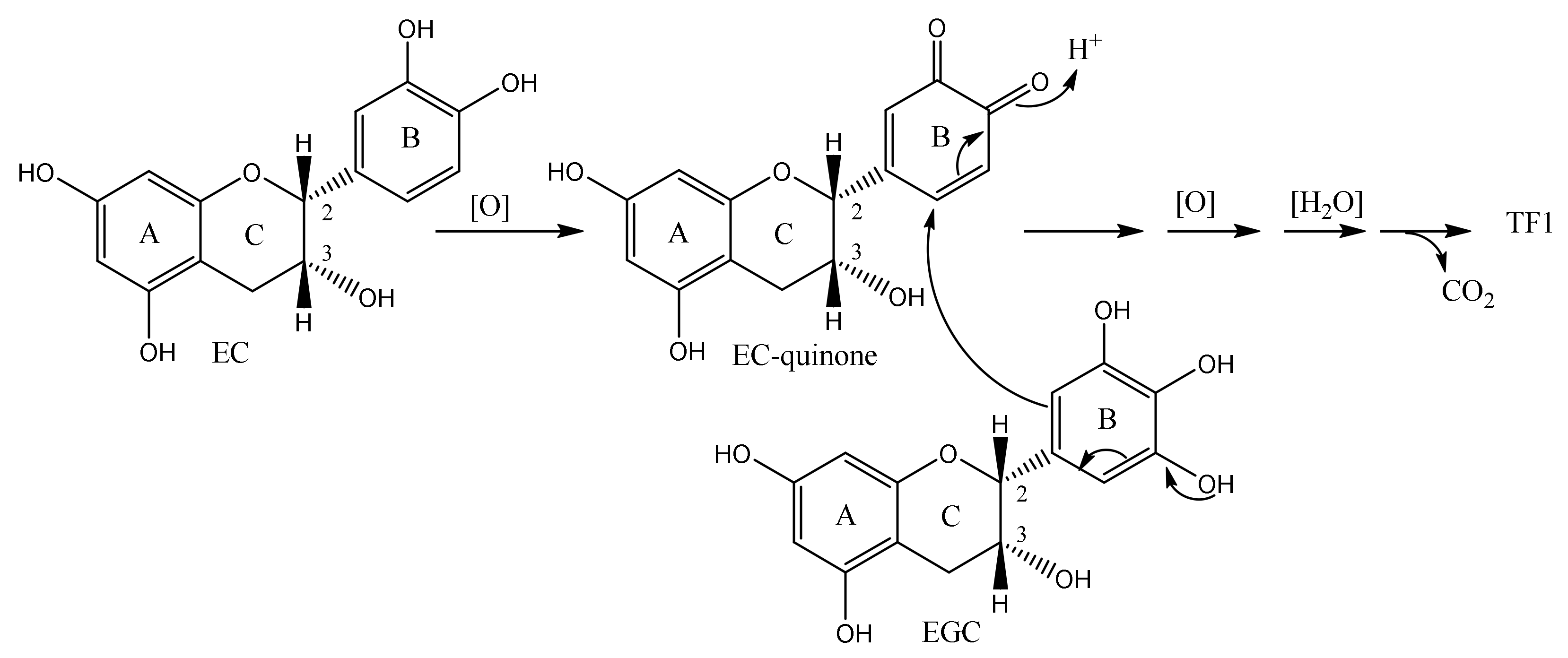 Molecules 23 00918 g004