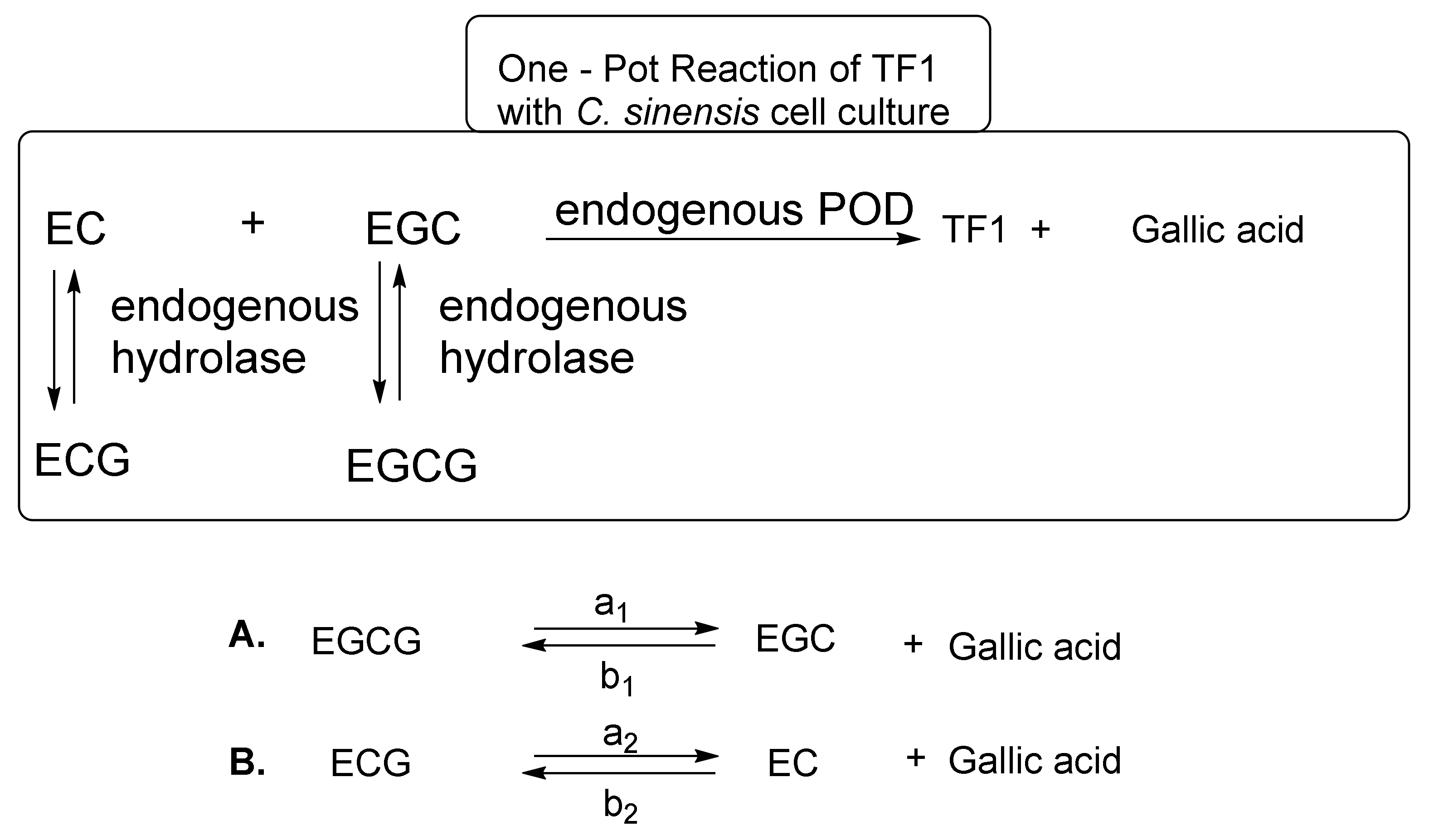 Molecules 23 00918 g006