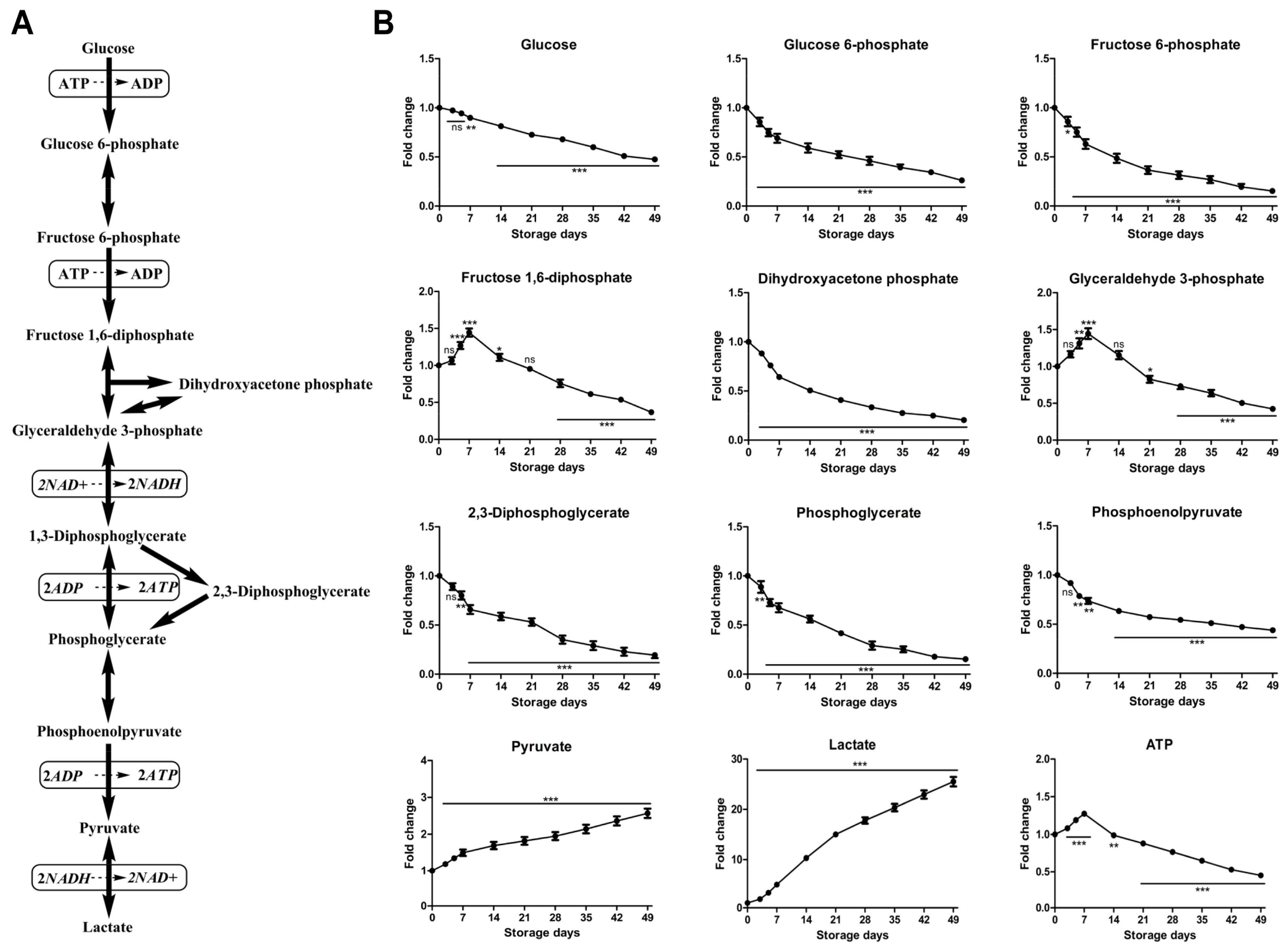 Molecules 23 00923 g002 Molecules 23 00923 g002