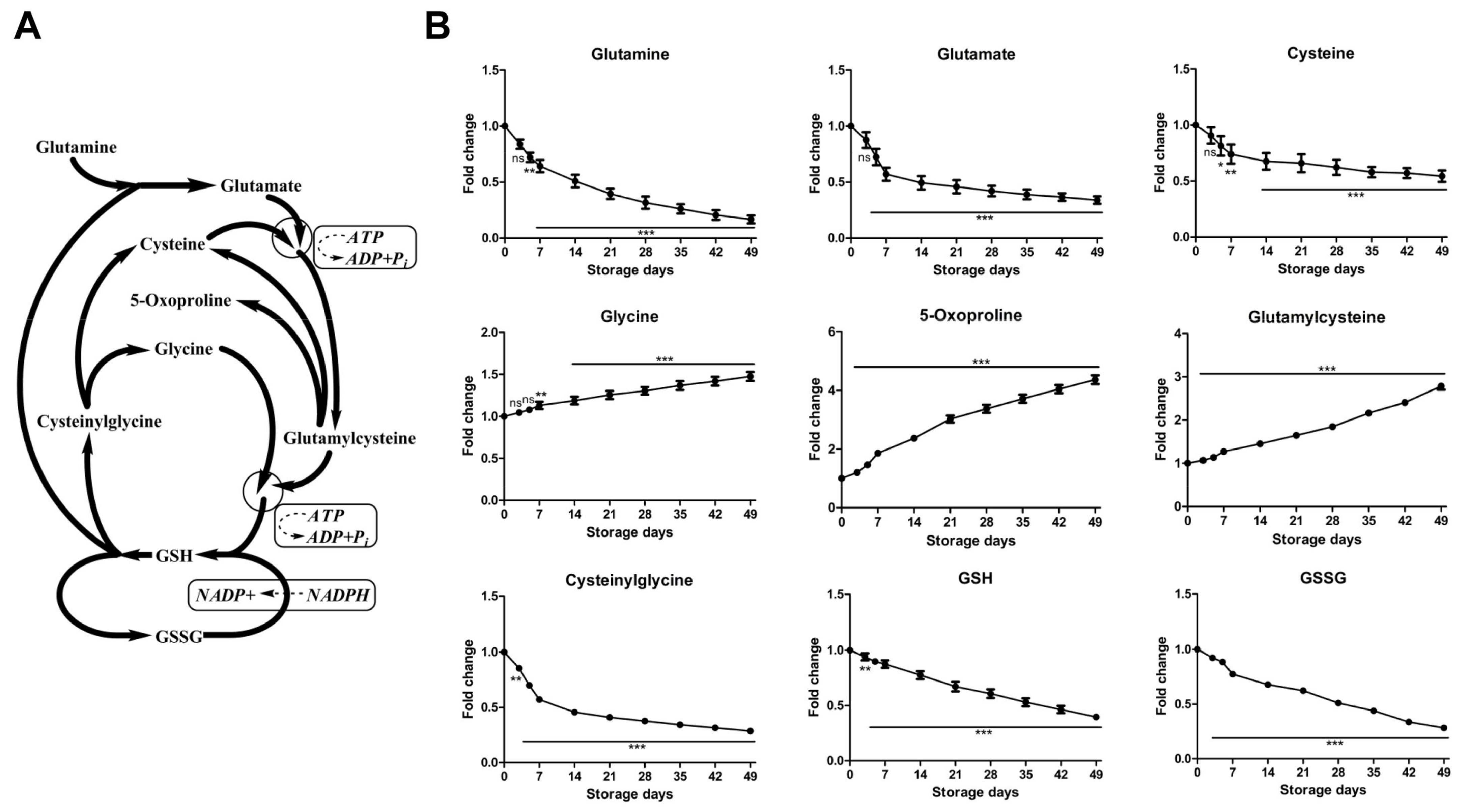 Molecules 23 00923 g004 Molecules 23 00923 g004