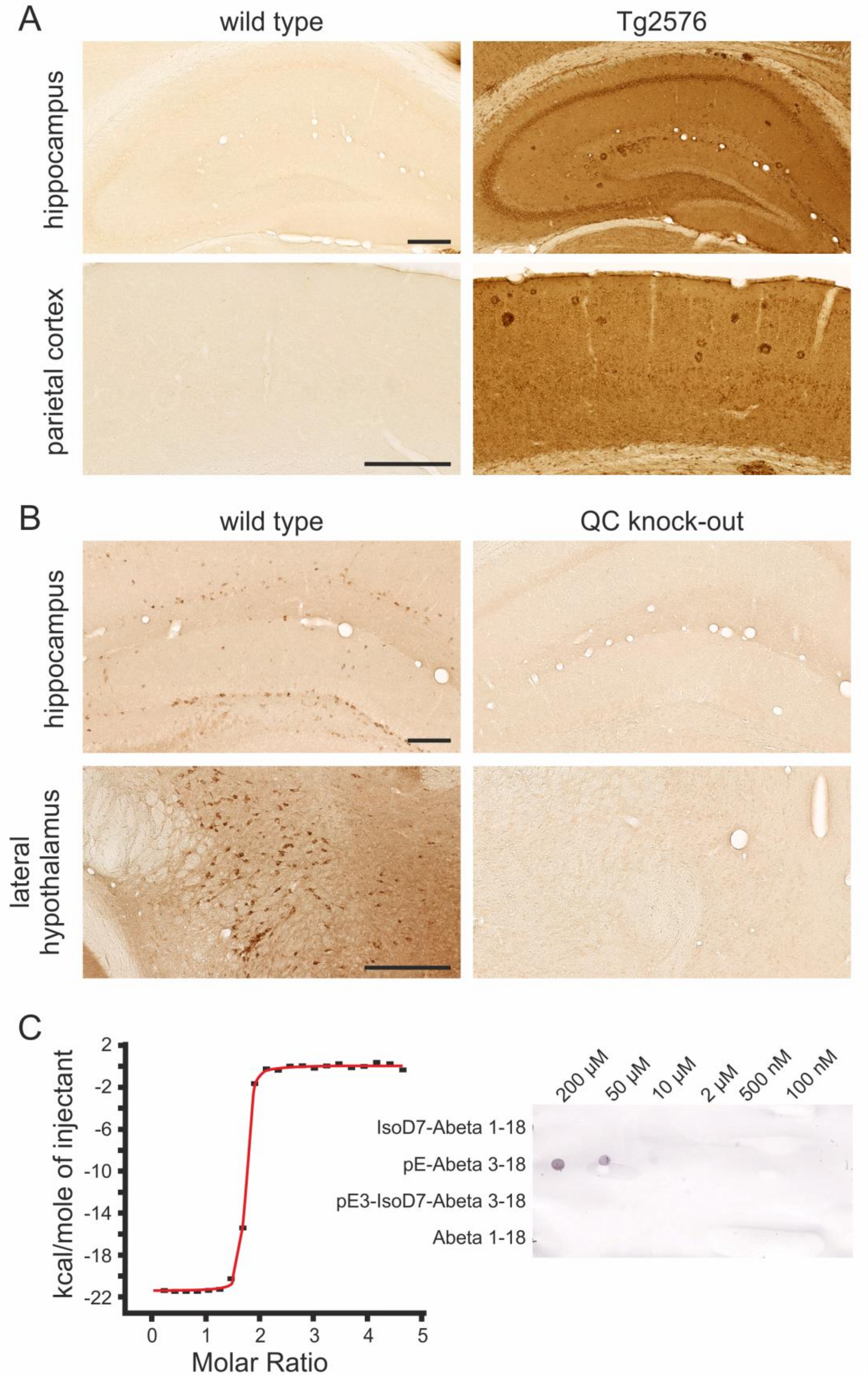 Molecules 23 00924 g002