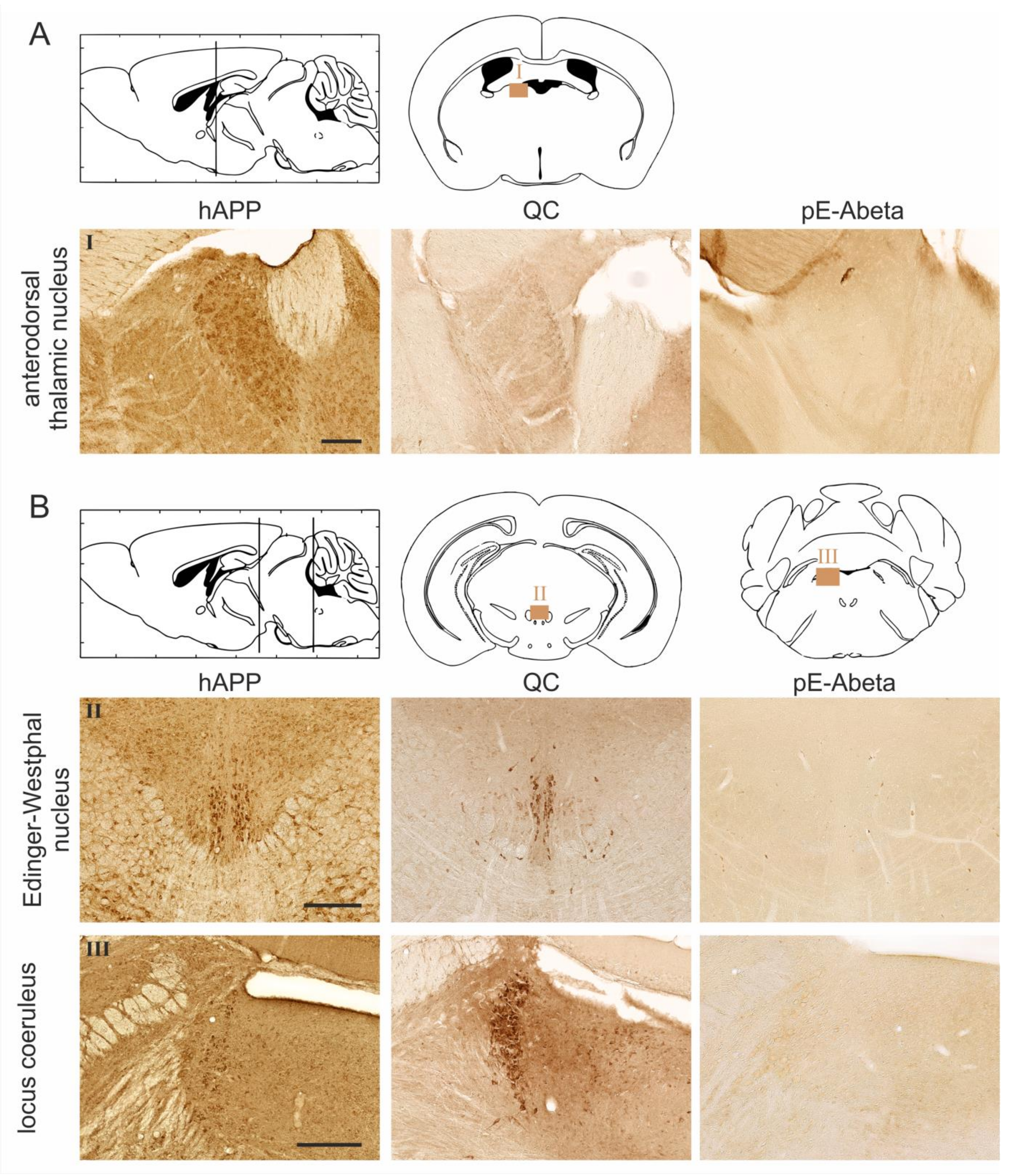 Molecules 23 00924 g003a