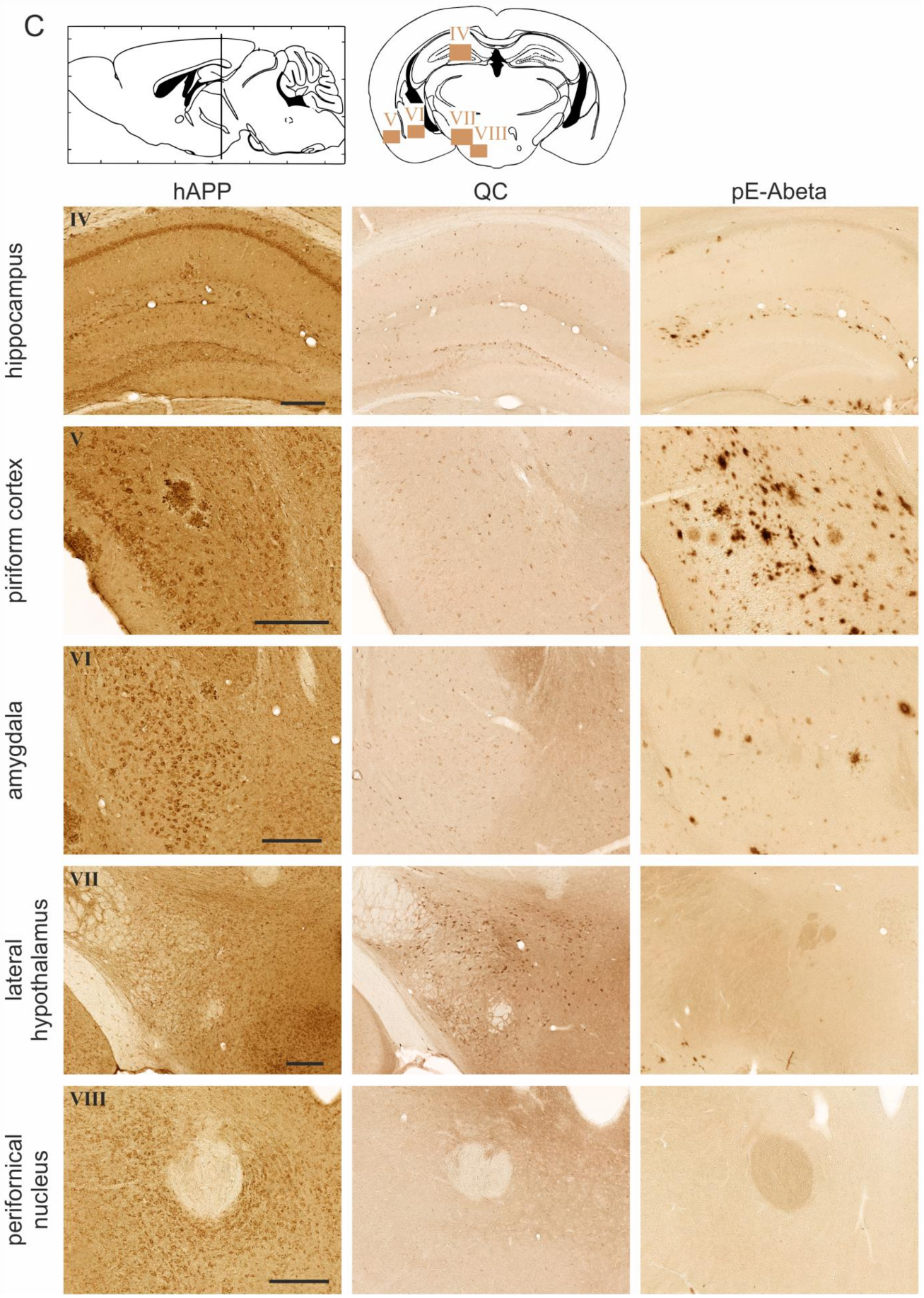 Molecules 23 00924 g003b
