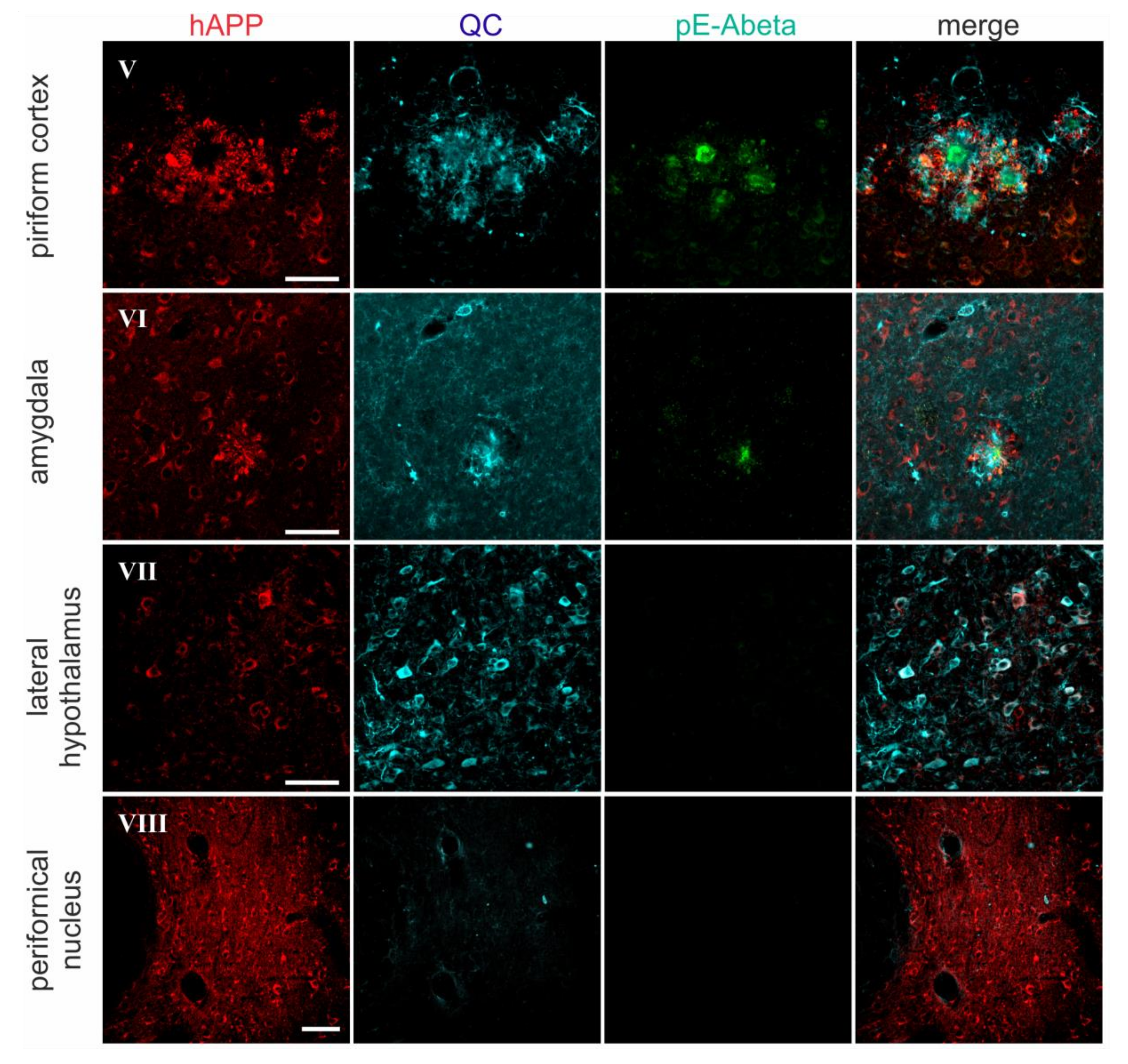 Molecules 23 00924 g004b