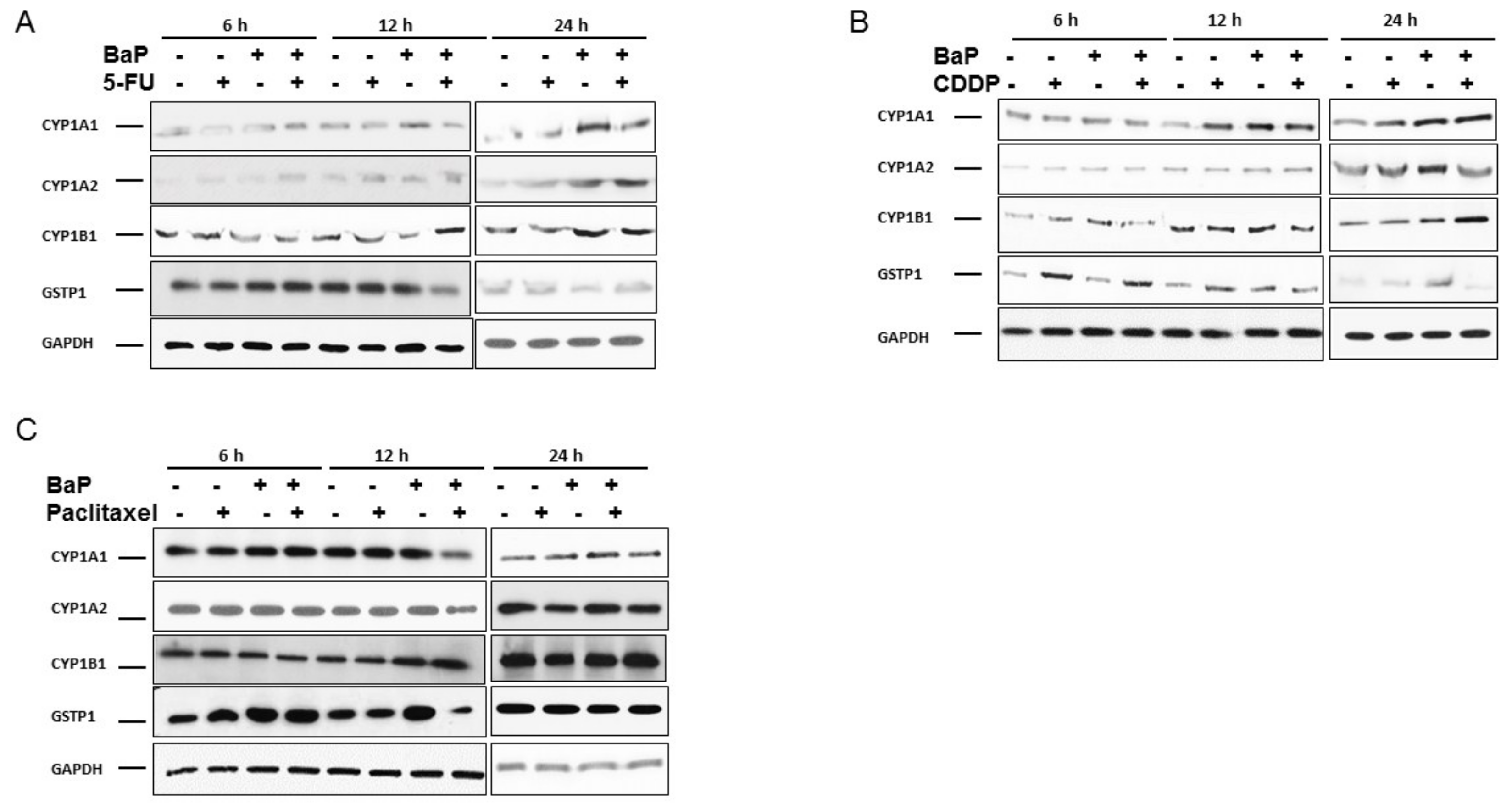 Molecules 23 00930 g003 Molecules 23 00930 g003