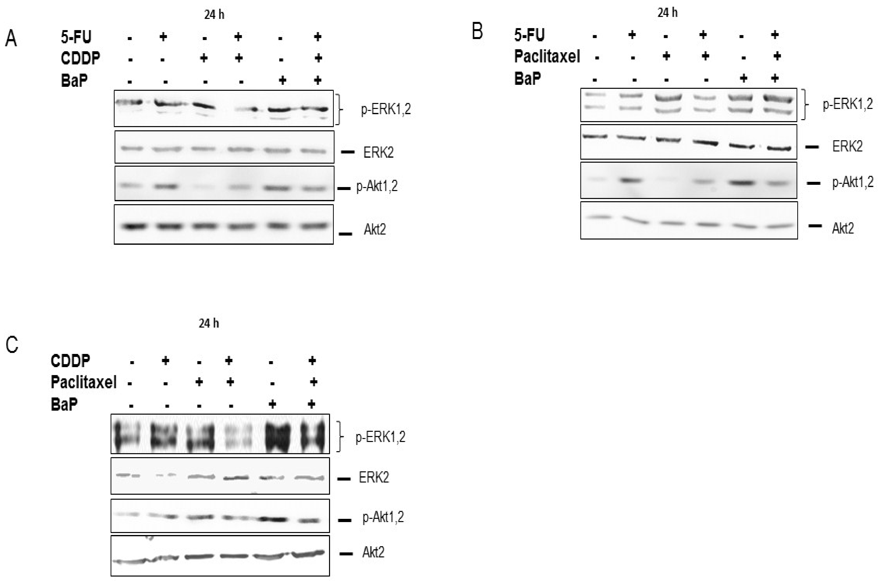 Molecules 23 00930 g008 Molecules 23 00930 g008