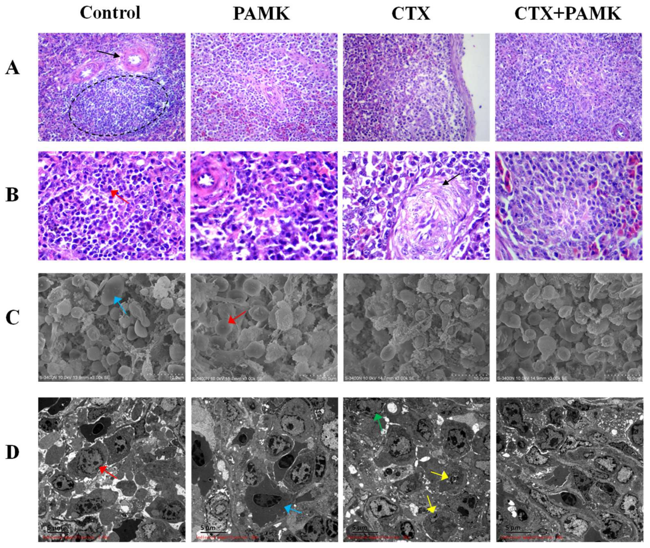 Molecules 23 00932 g002