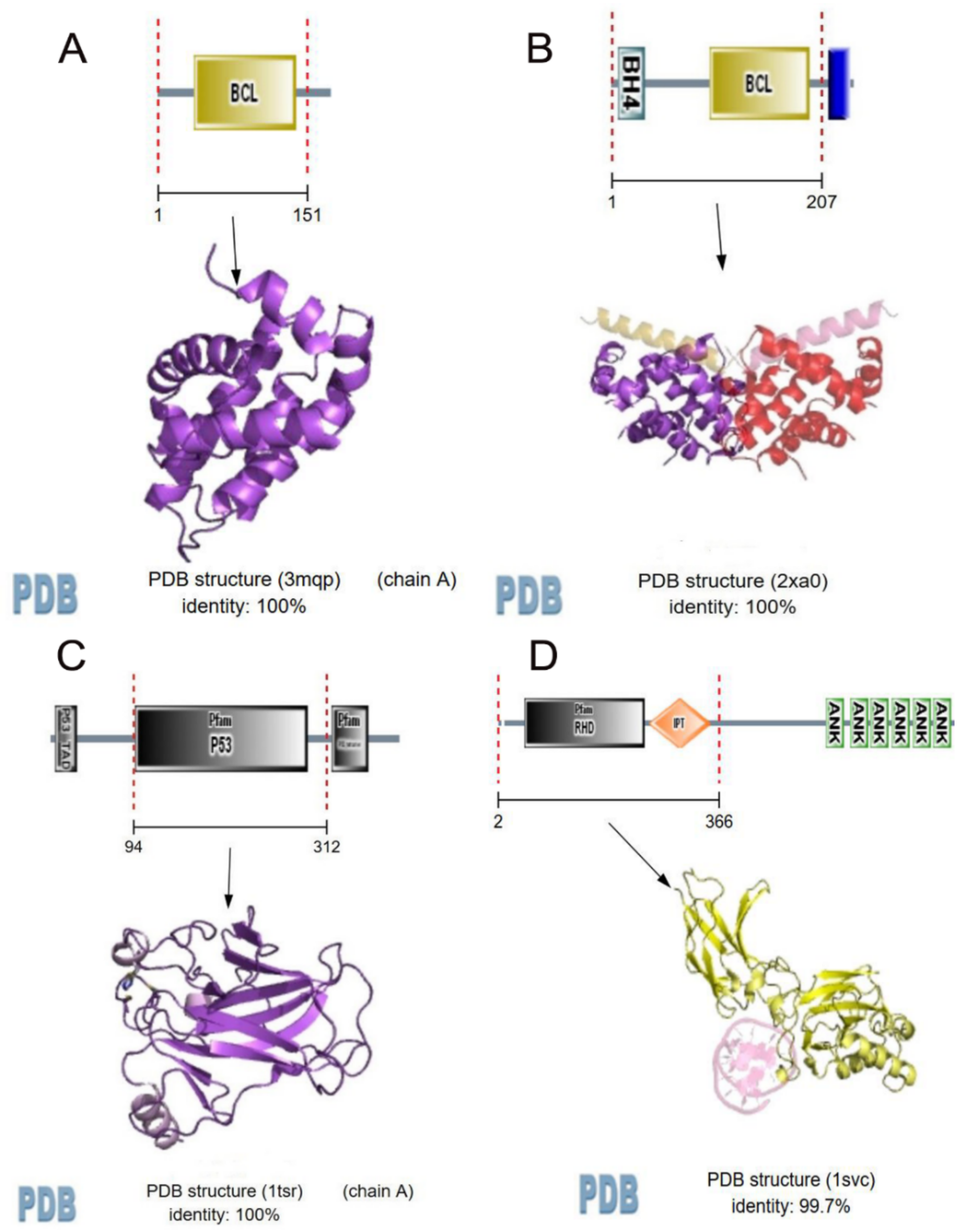 Molecules 23 00940 g002